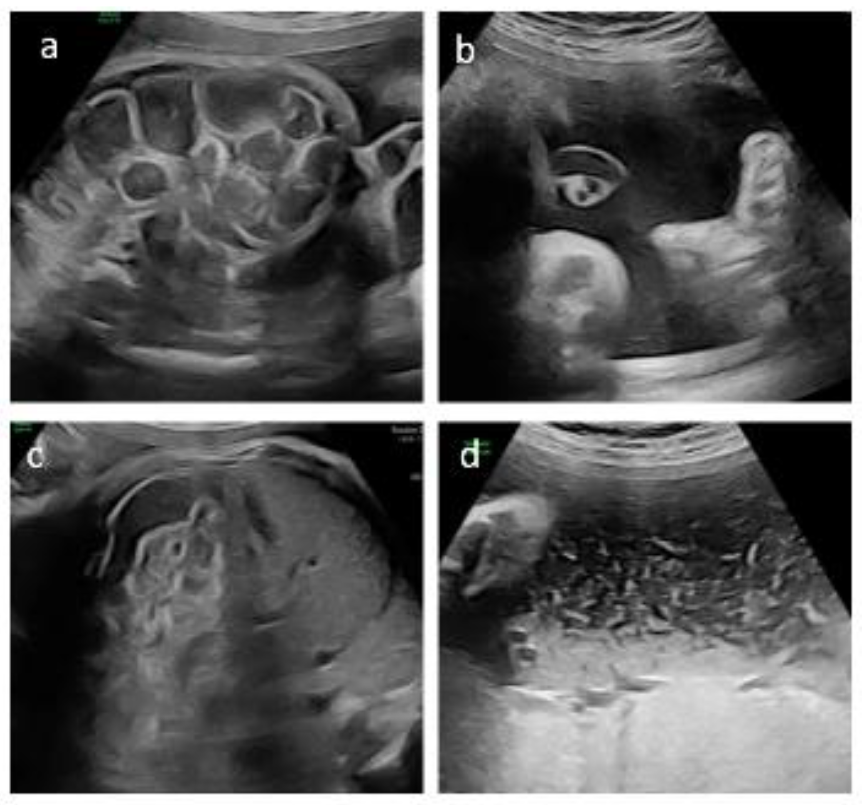 Preprints 199831 g001