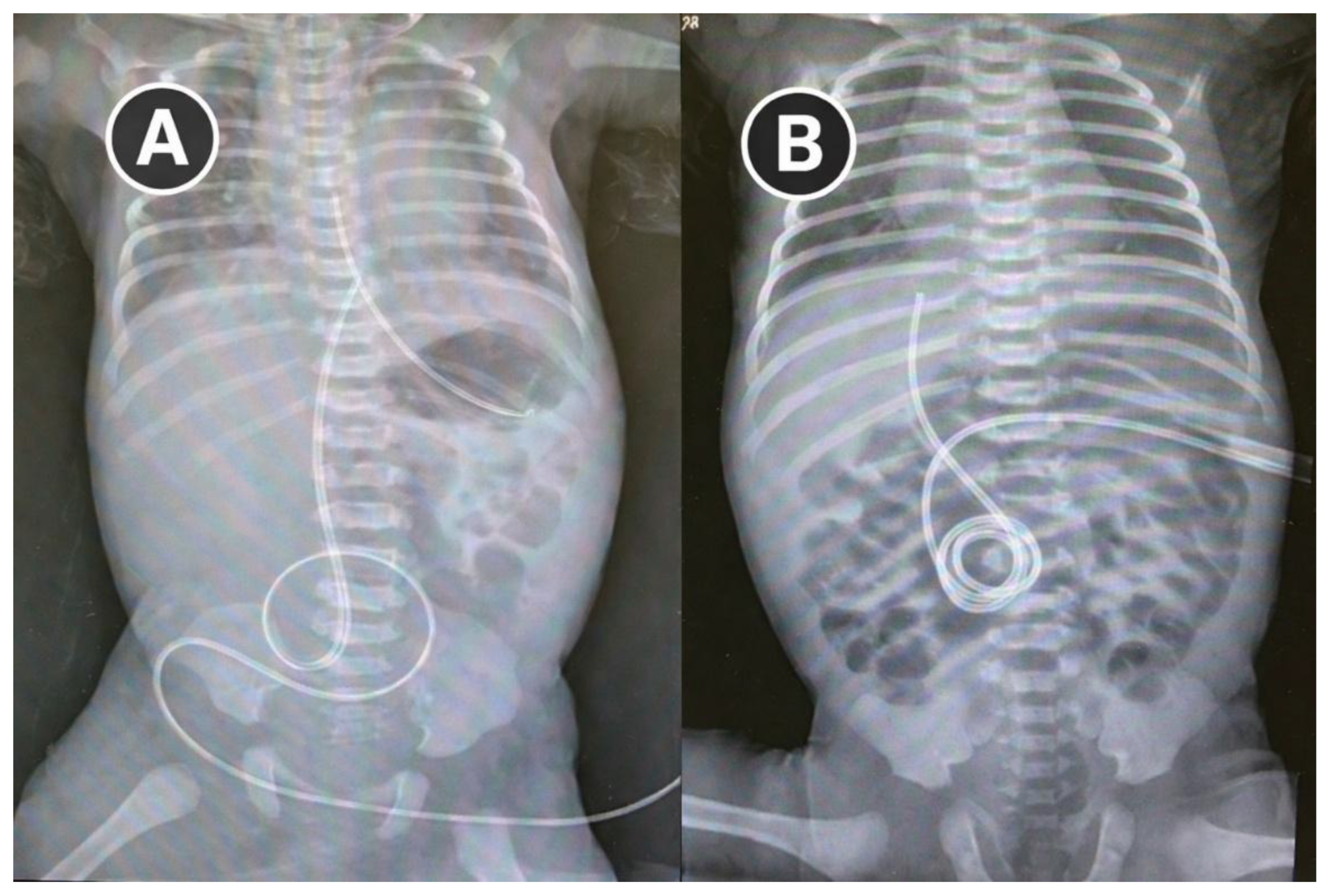 Preprints 199831 g002