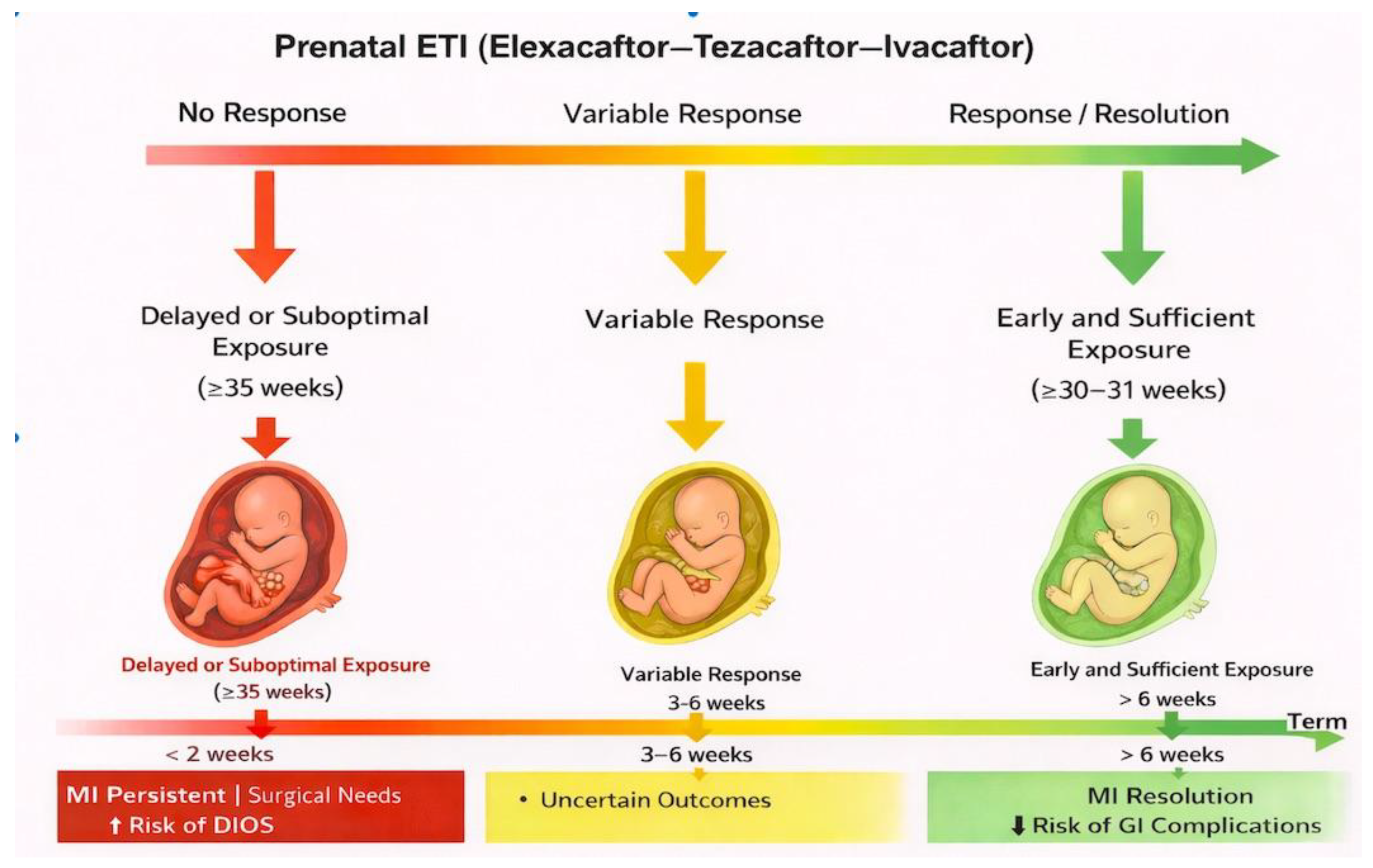 Preprints 199831 g003