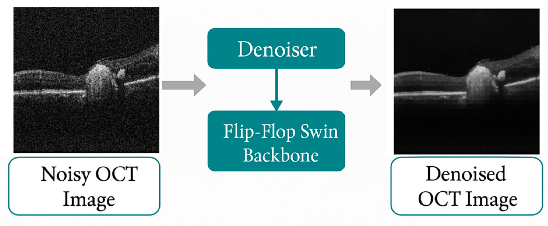 Preprints 191444 g001