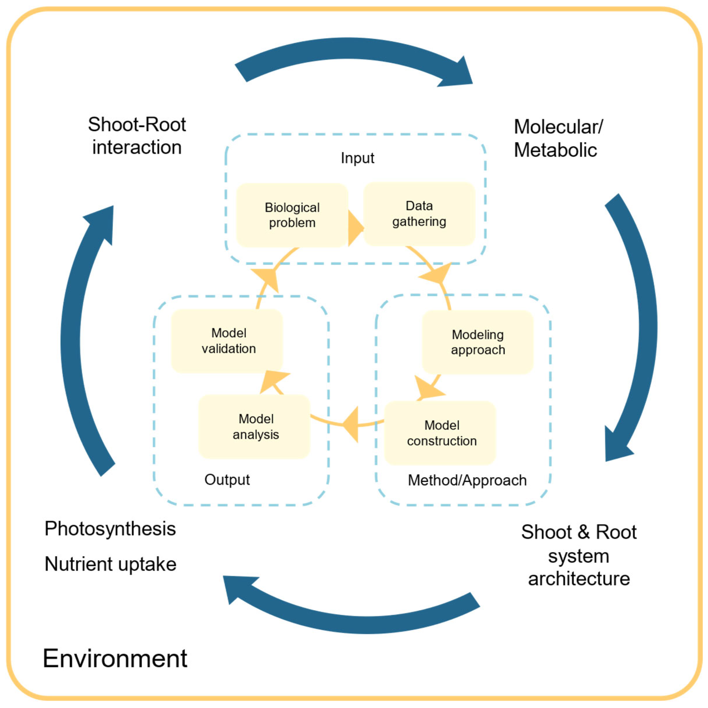 Preprints 121976 g001
