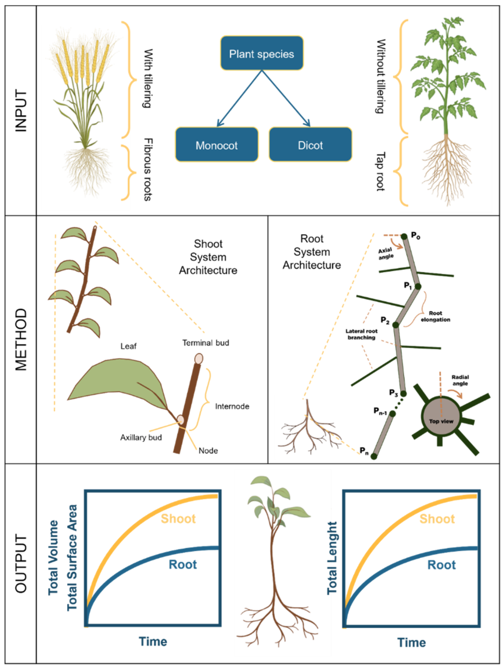 Preprints 121976 g003
