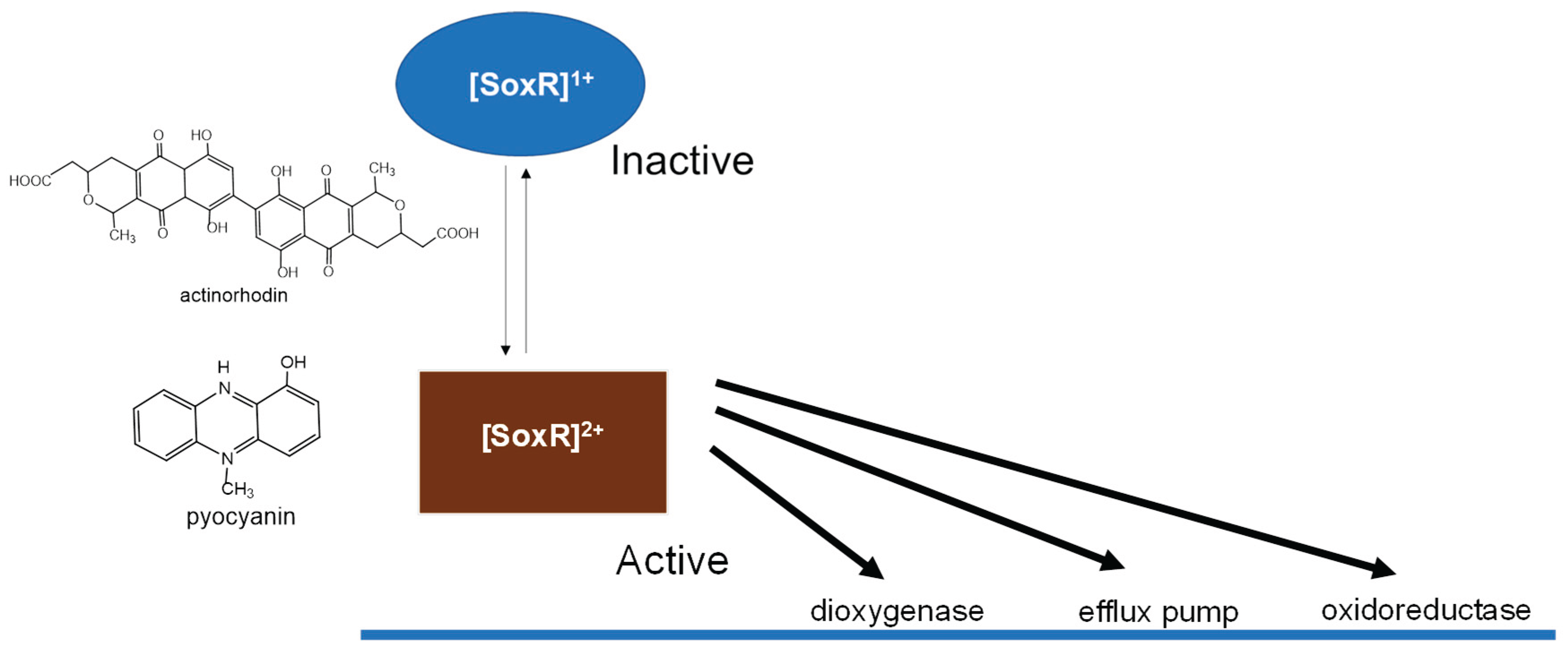 Preprints 167668 g002