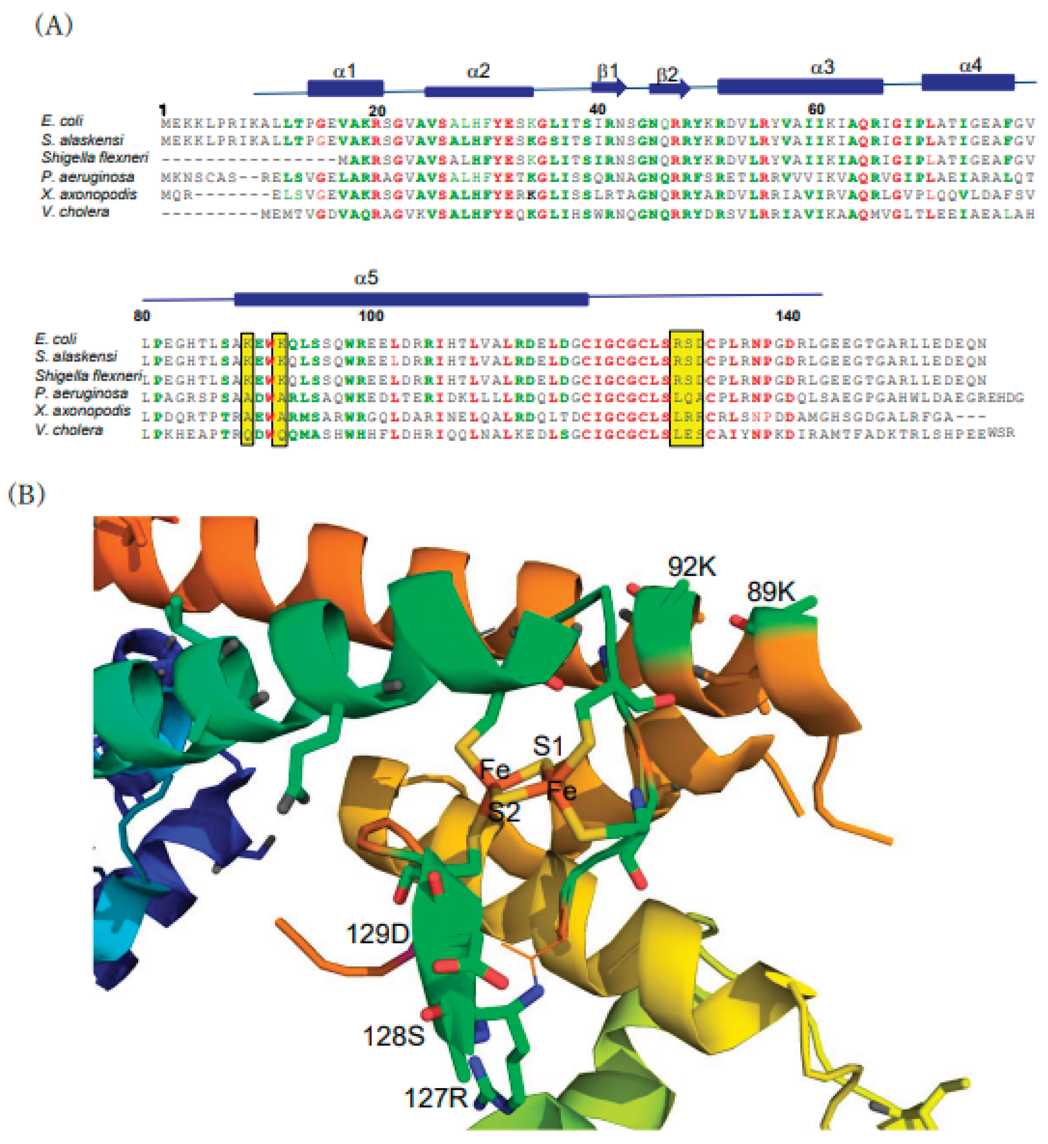 Preprints 167668 g004