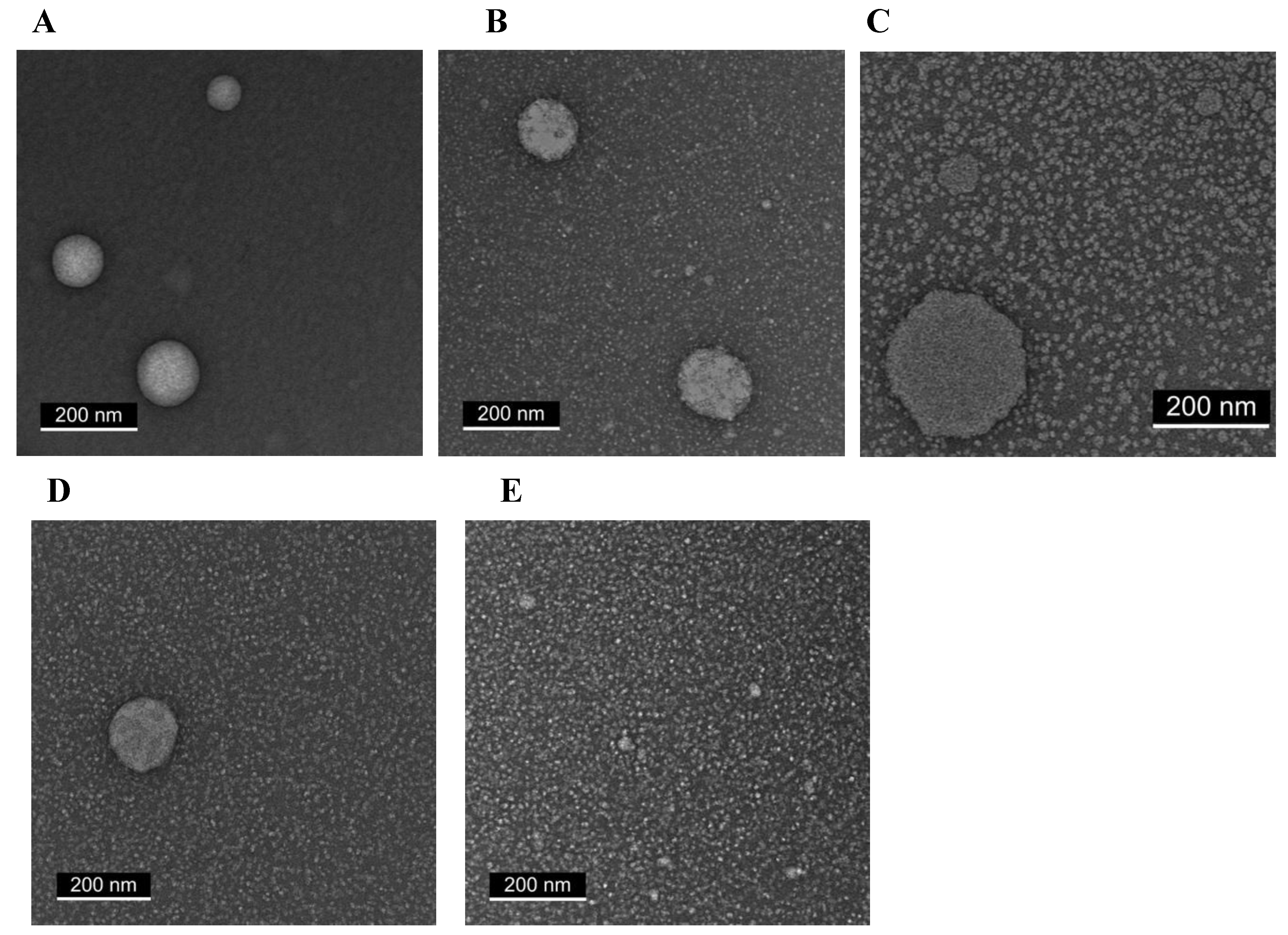 Preprints 184355 g004