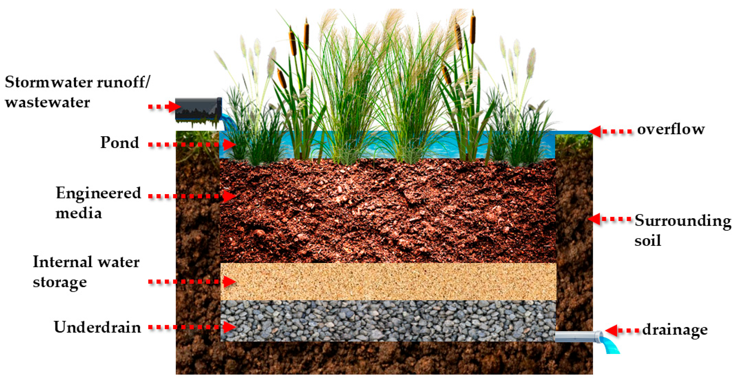 Preprints 169034 g003