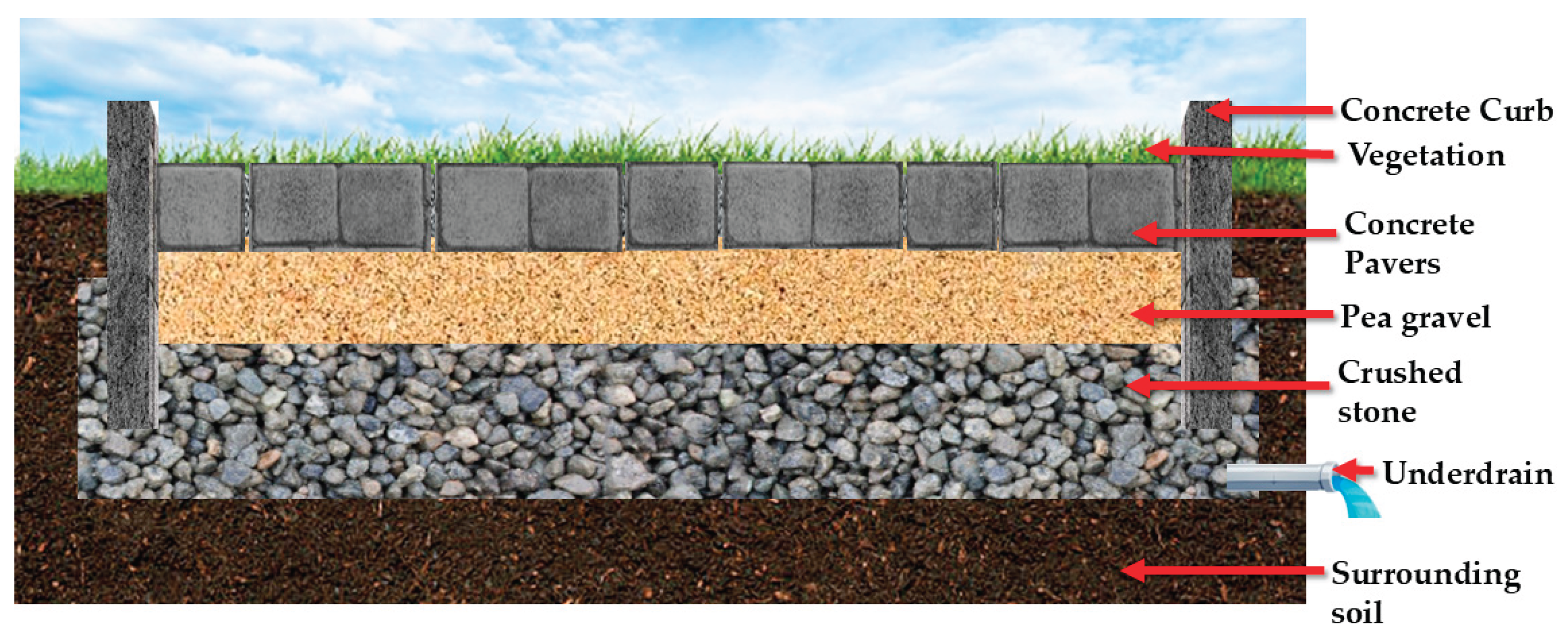 Preprints 169034 g005