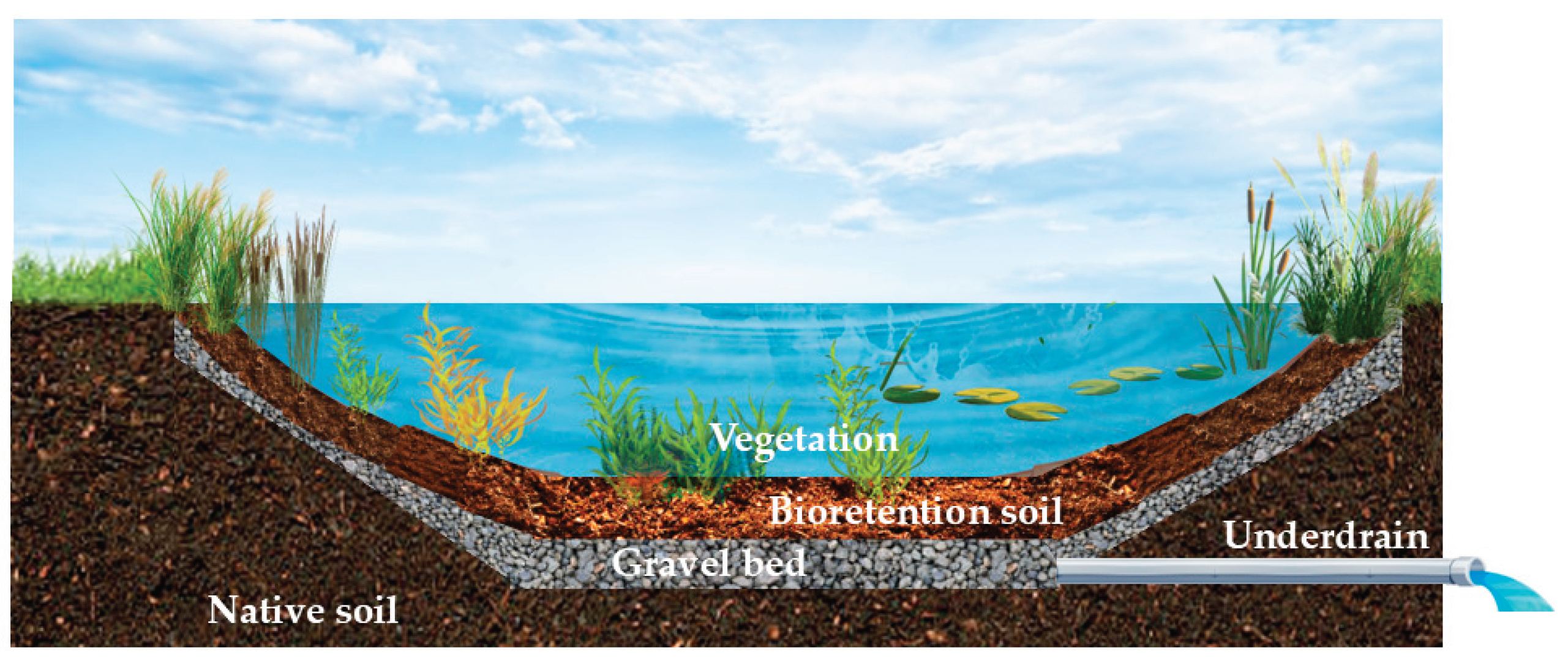 Preprints 169034 g006