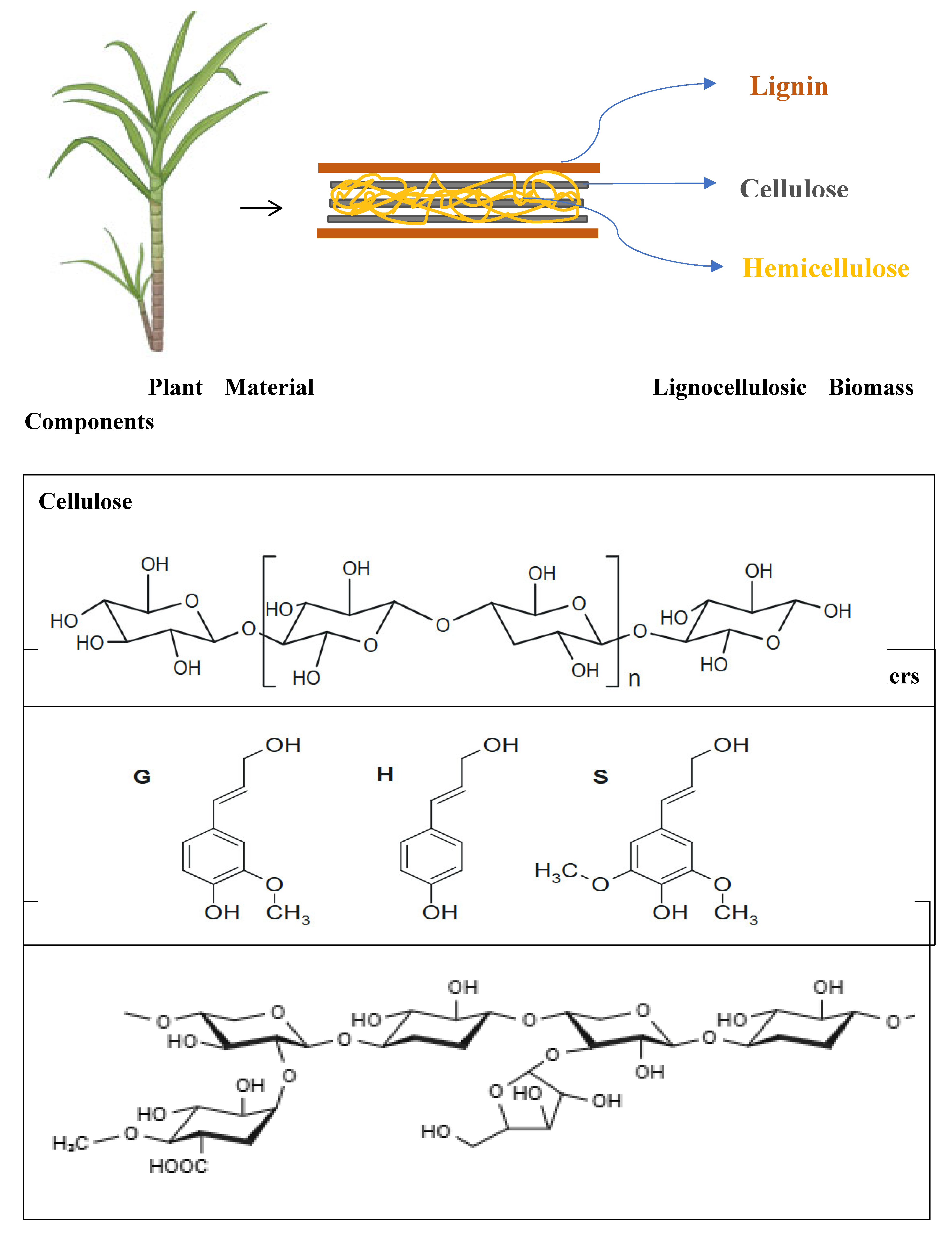 Preprints 163781 g002