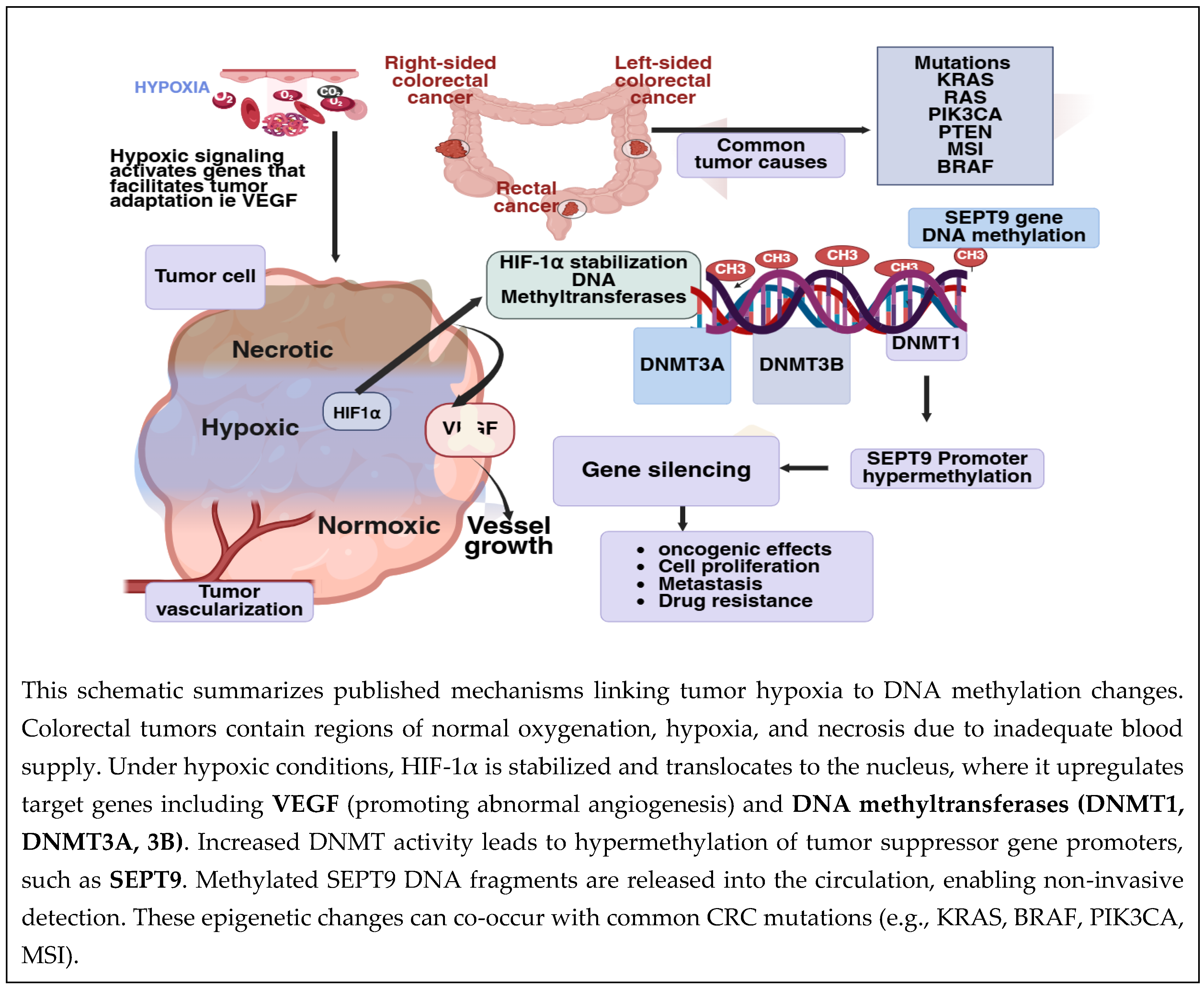 Preprints 210962 g001