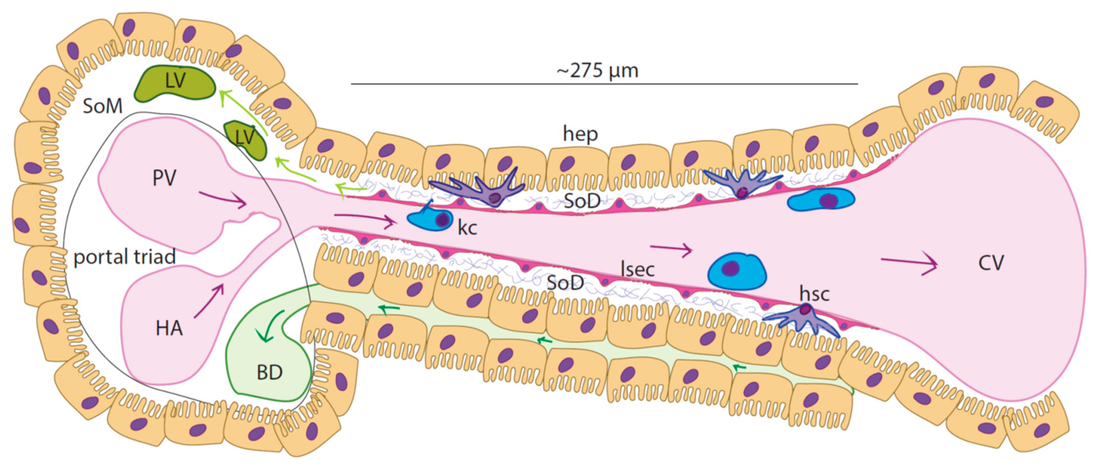 Preprints 83622 g001