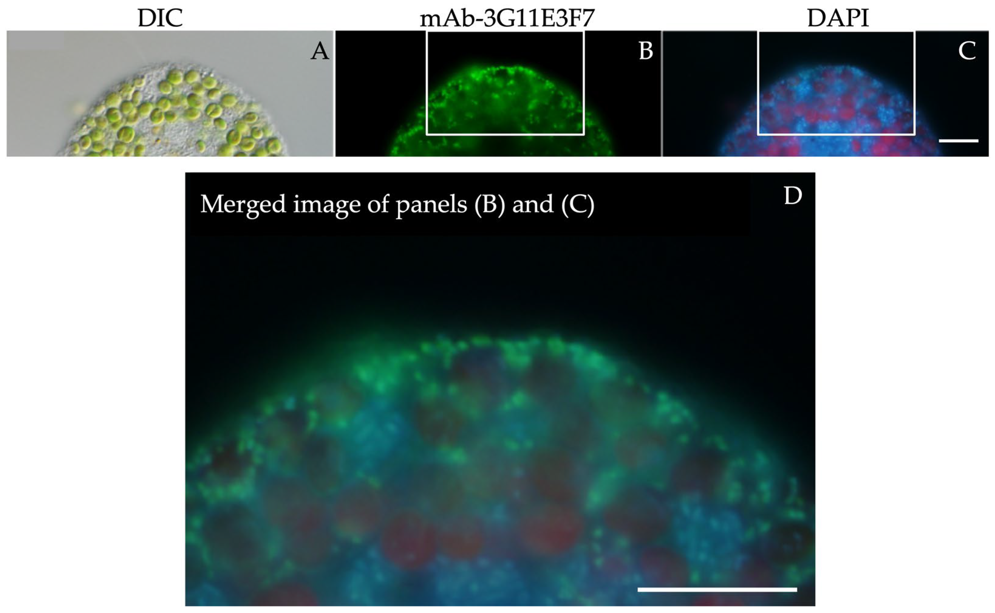 Preprints 203795 g002