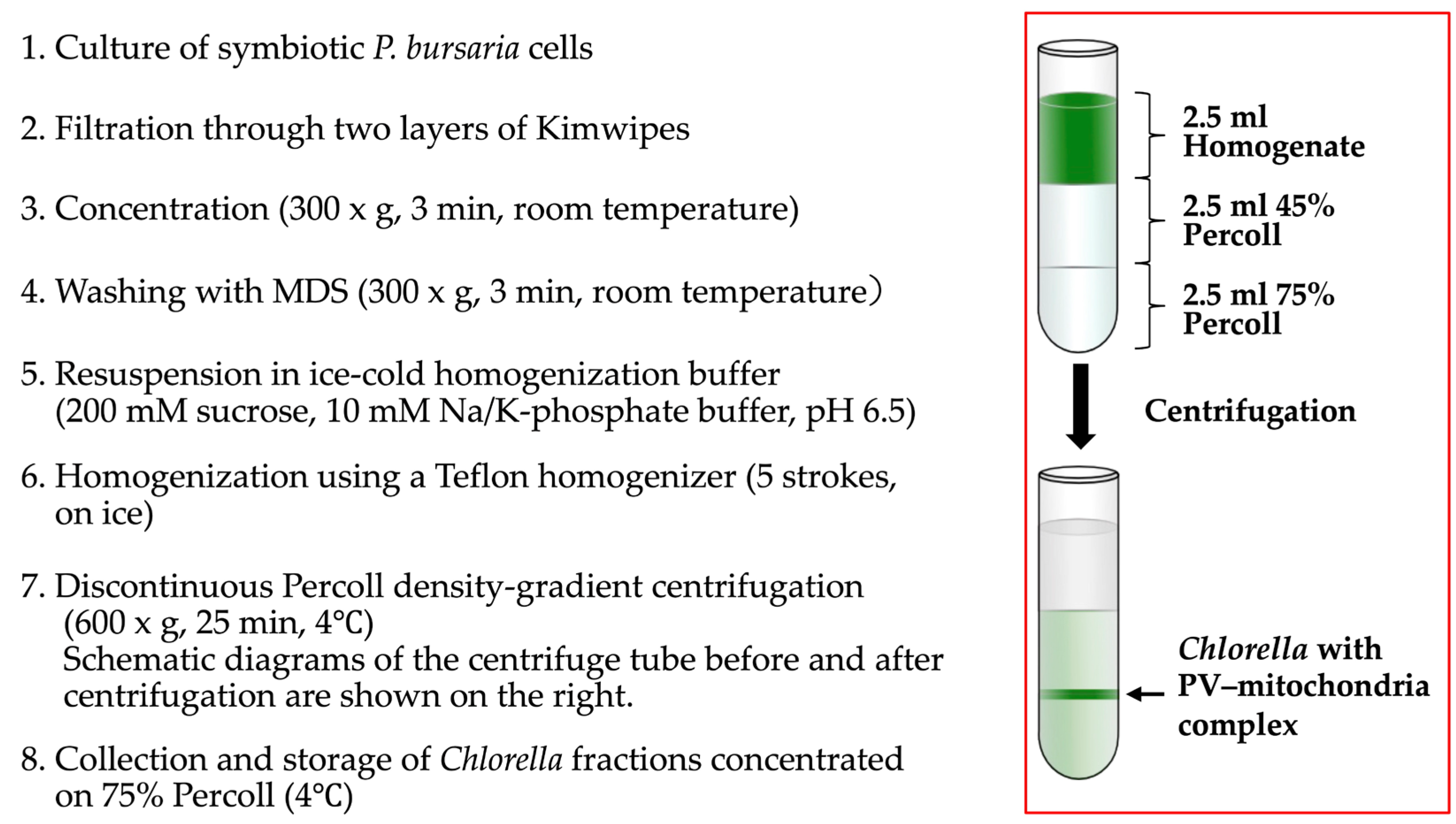 Preprints 203795 g003