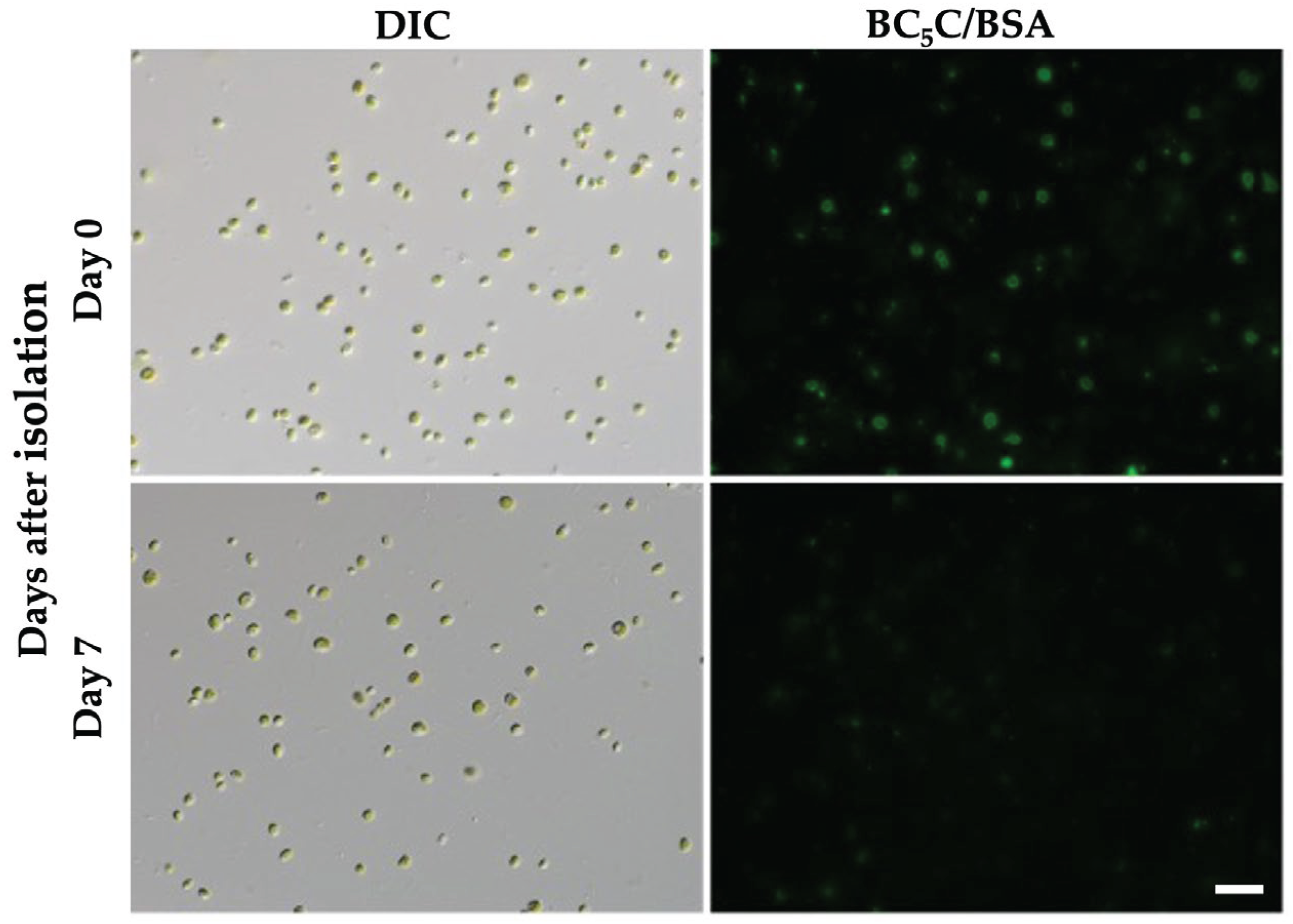 Preprints 203795 g008