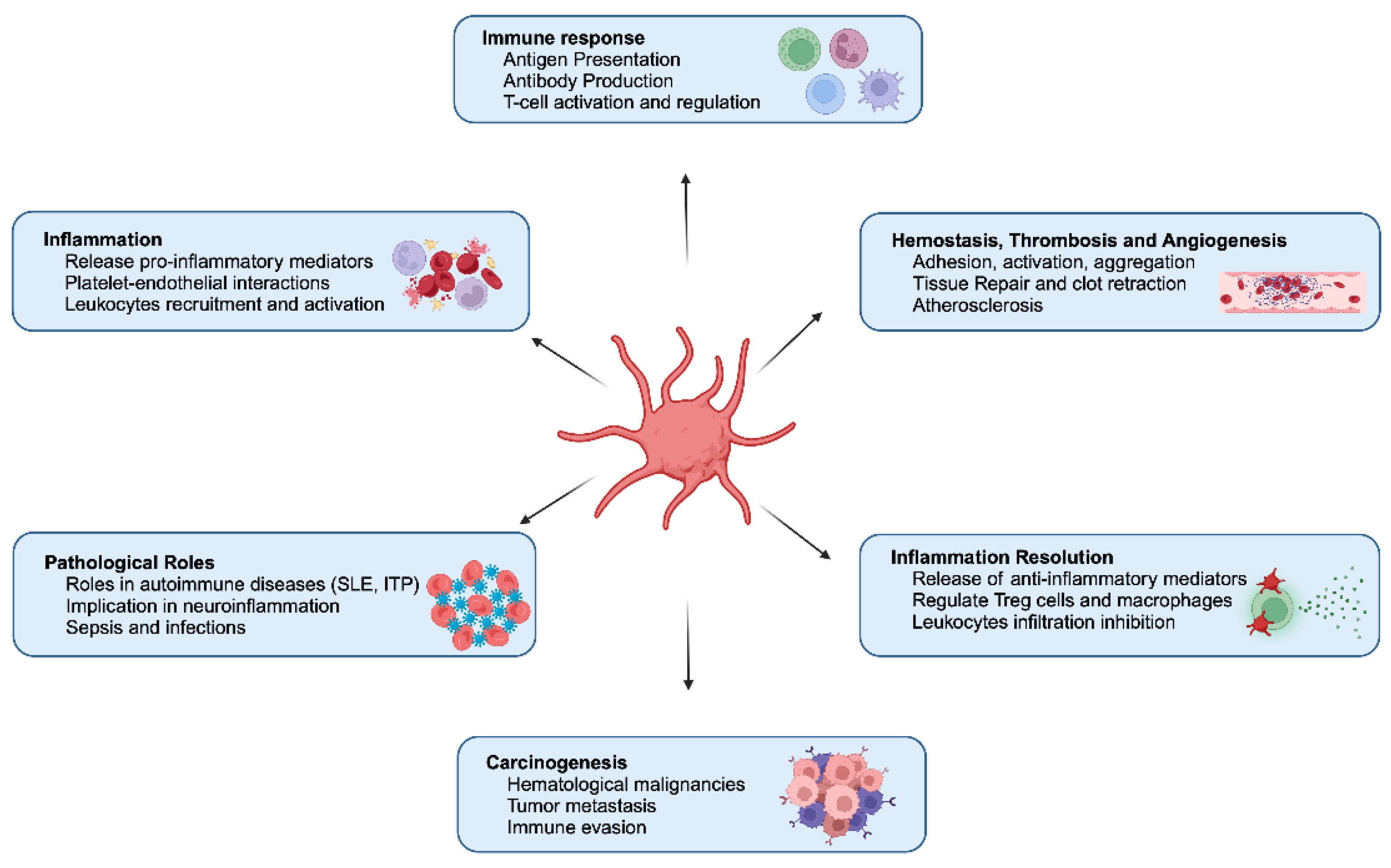 Preprints 148069 g001
