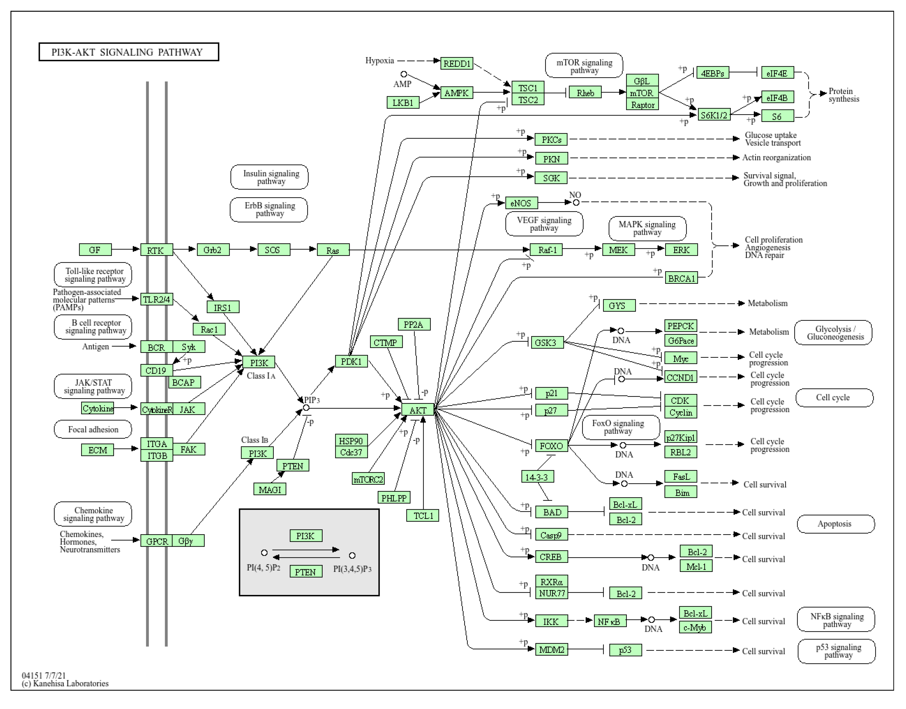 Preprints 168248 g001
