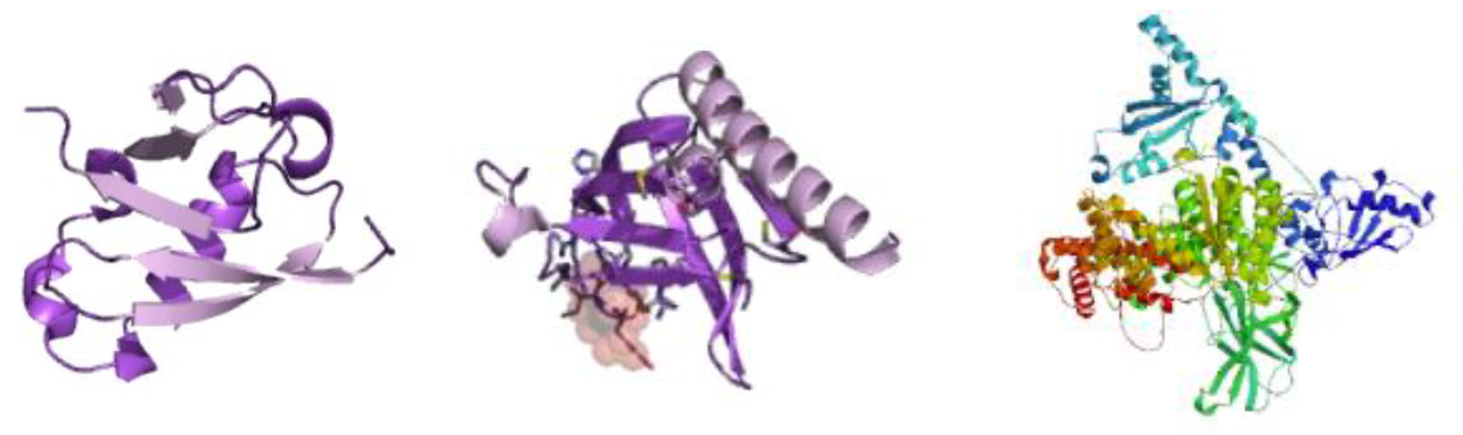 Preprints 168248 g002