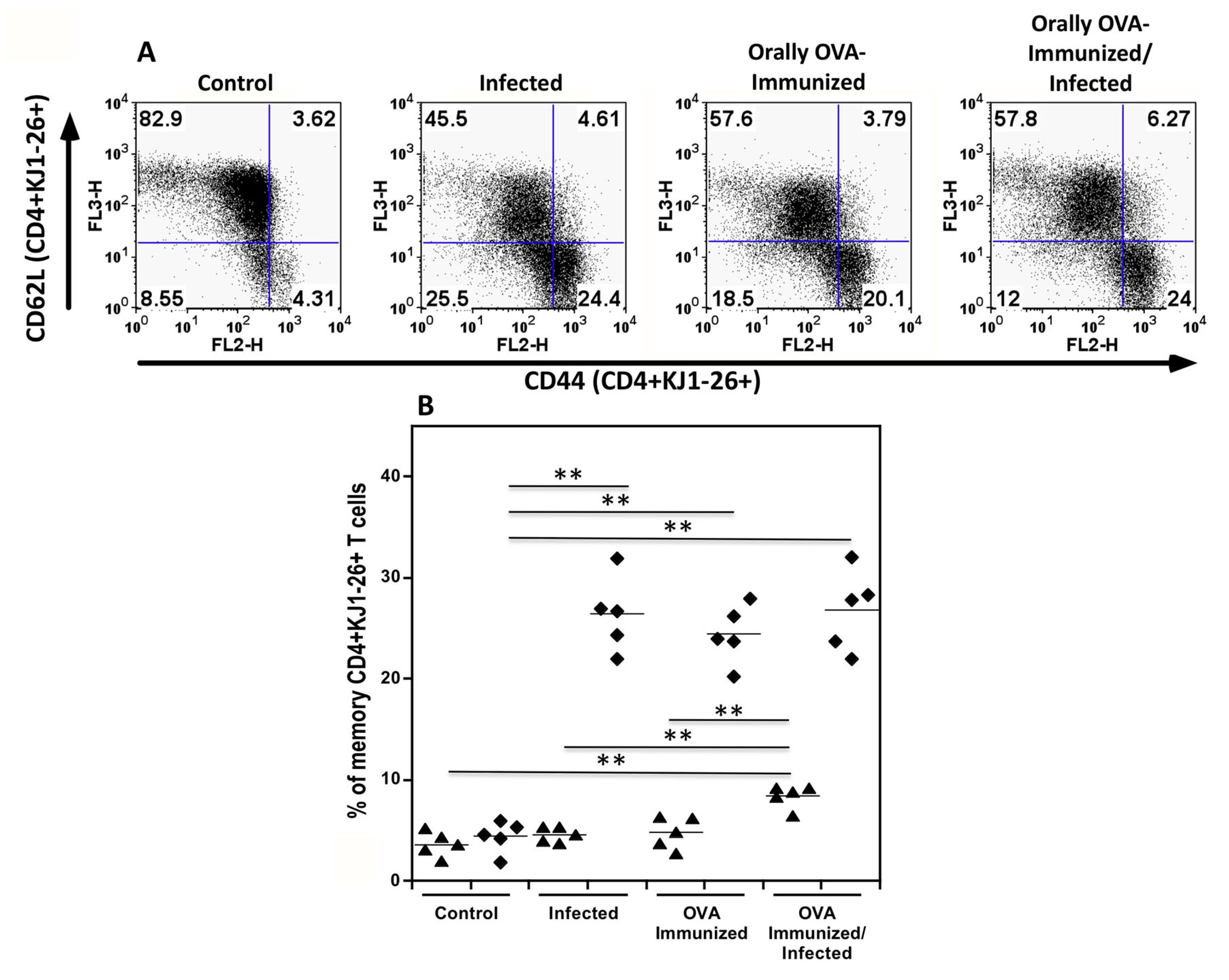 Preprints 182842 g002