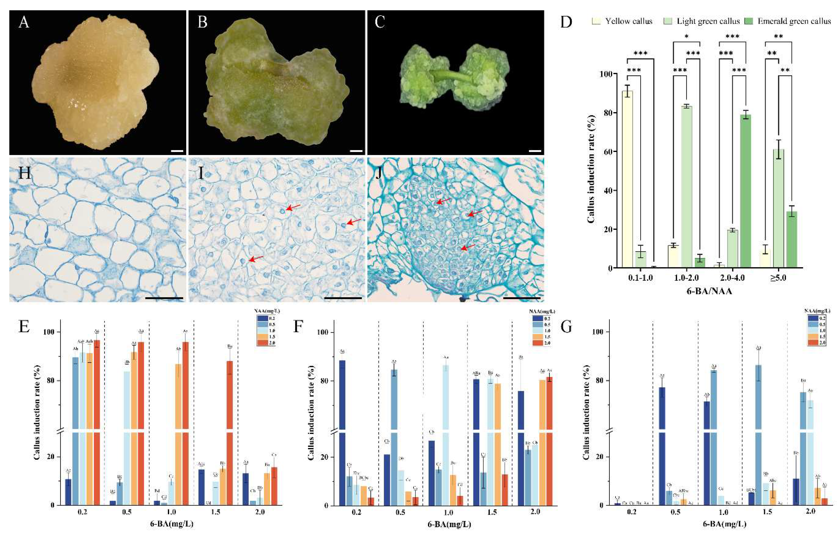 Preprints 190870 g001