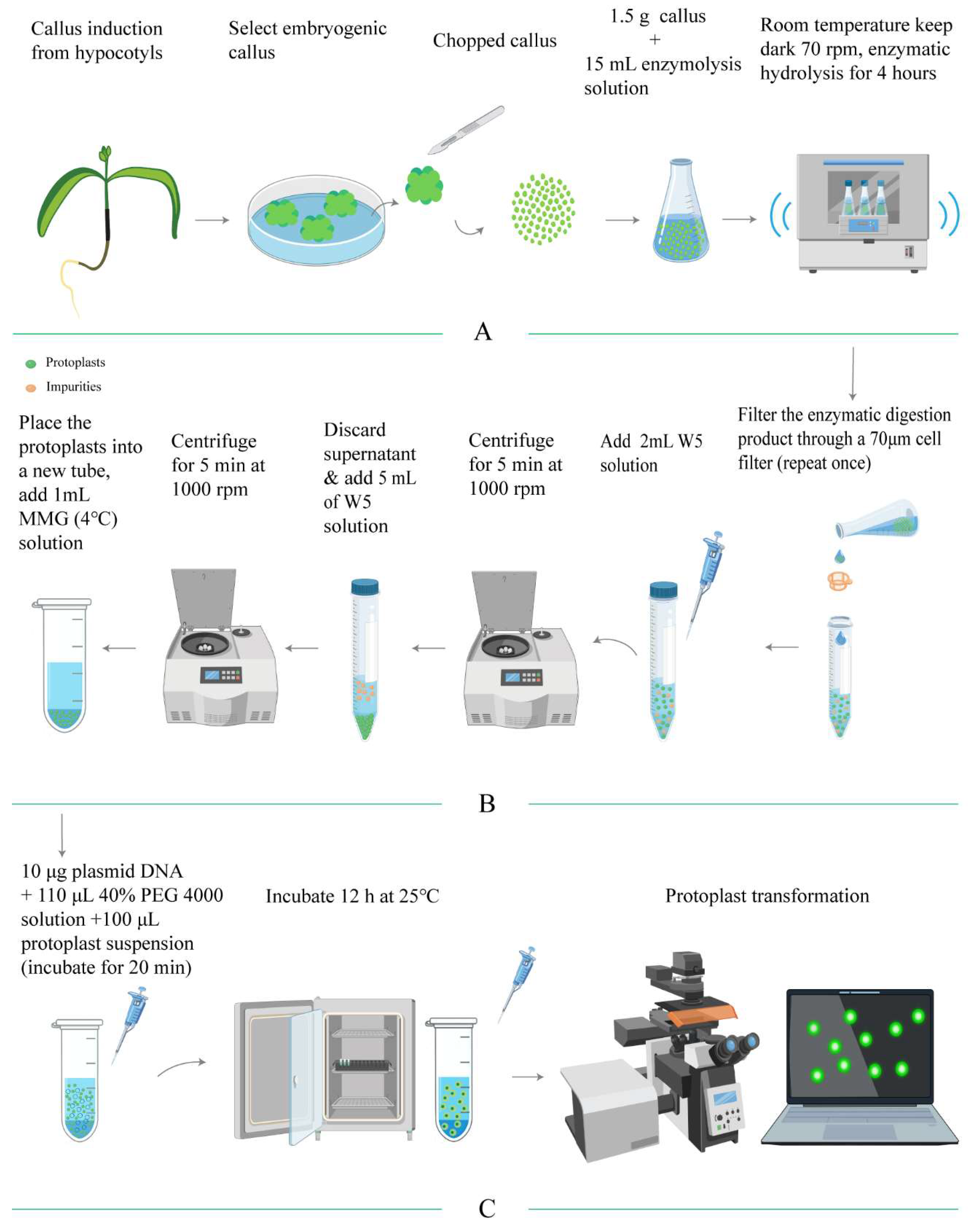 Preprints 190870 g004
