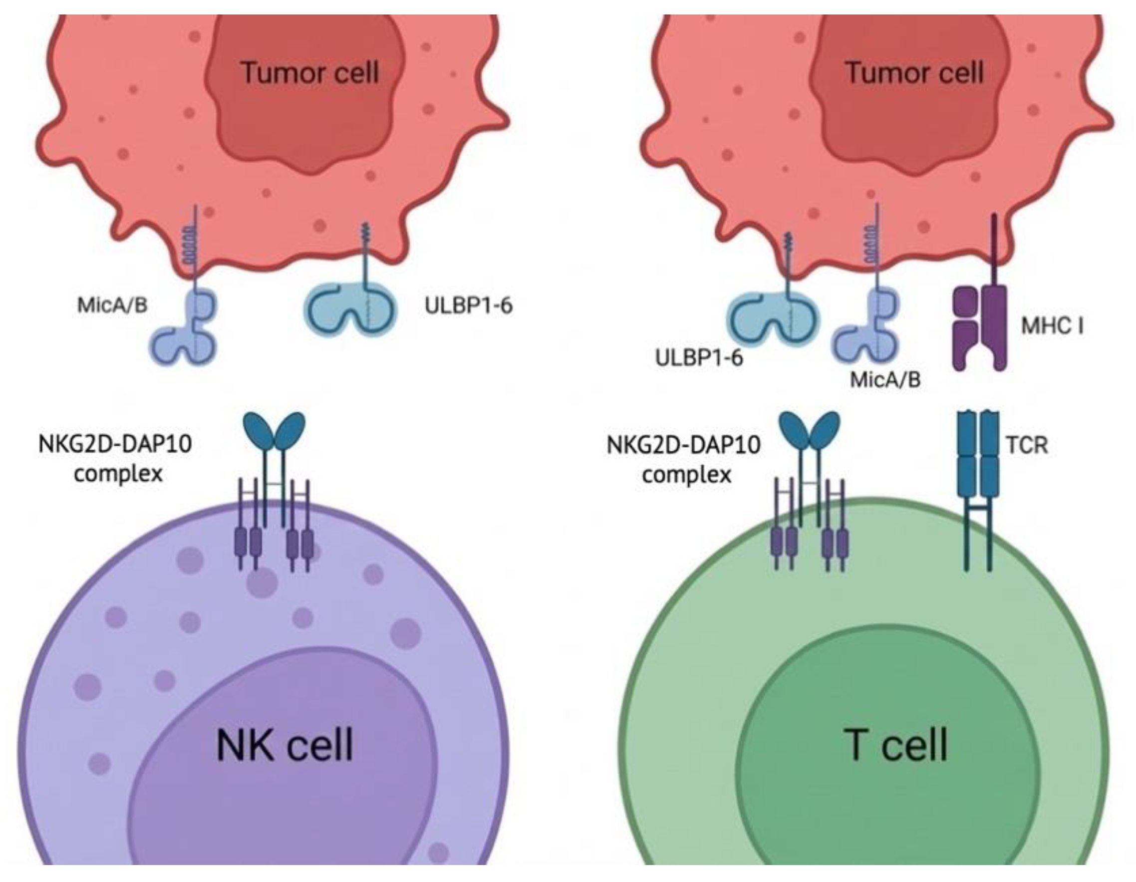 Preprints 189883 g001
