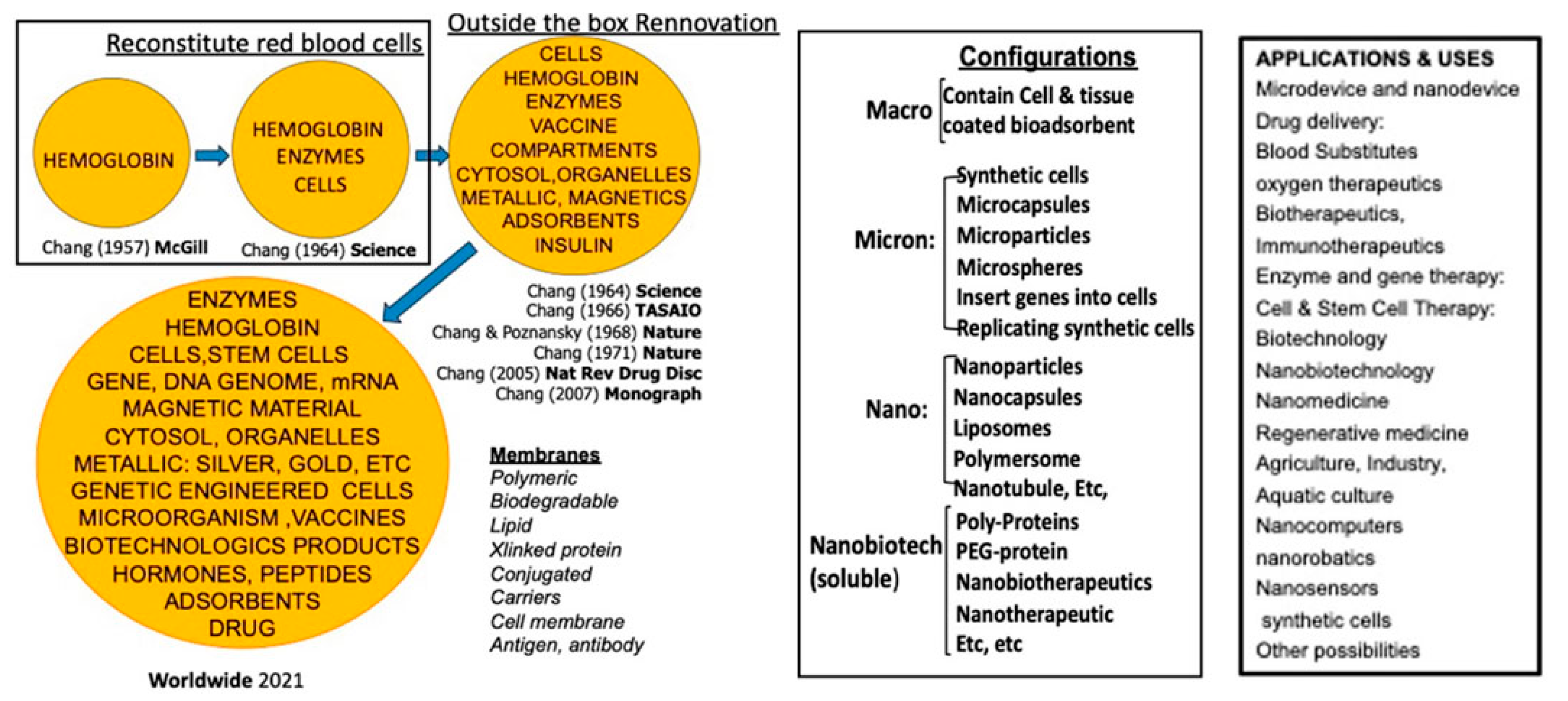 Preprints 168793 g001