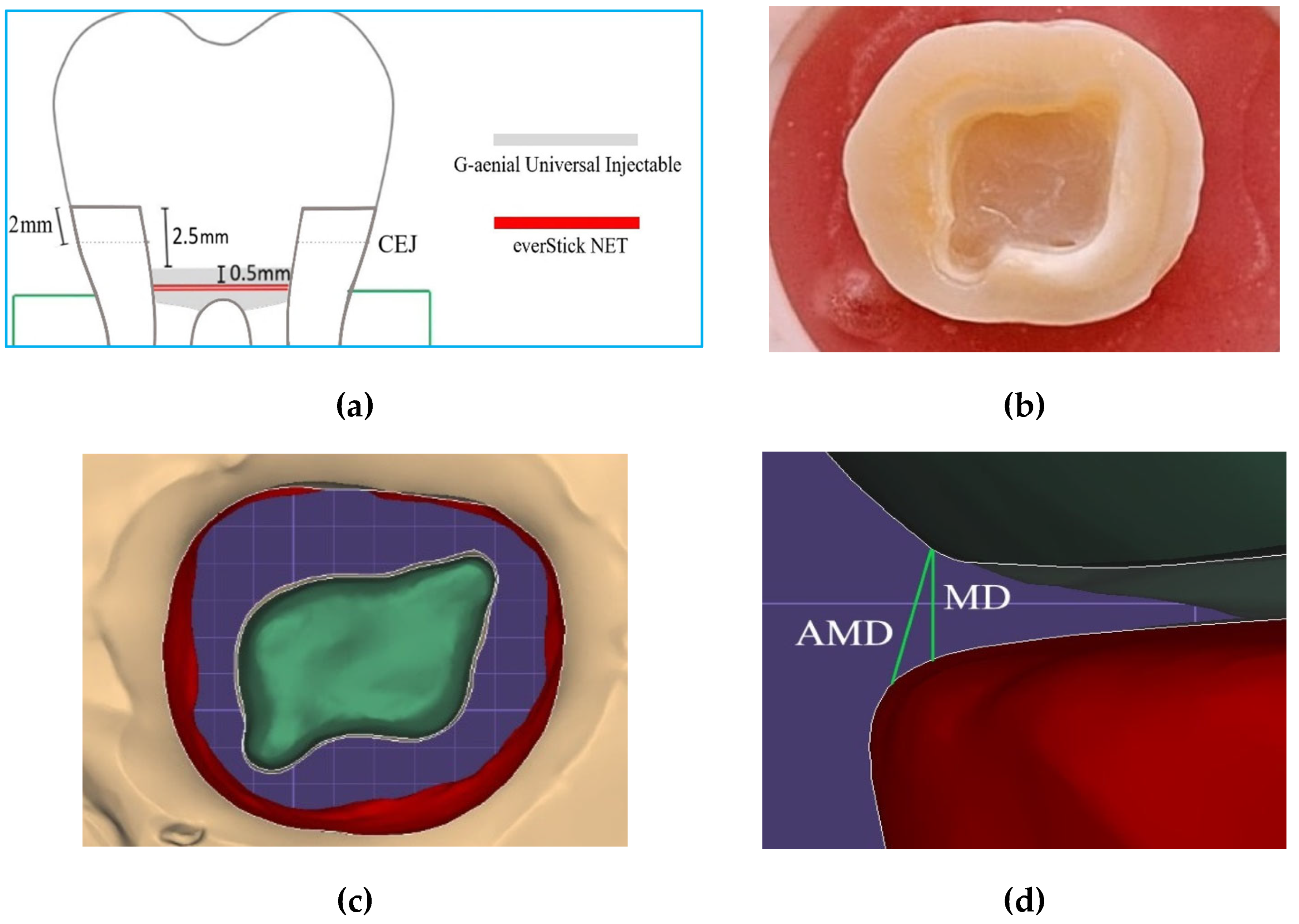 Preprints 154574 g002a