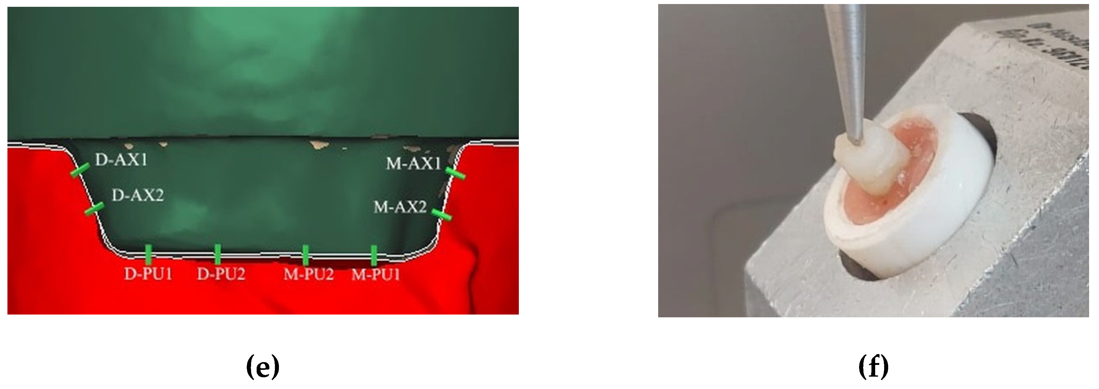 Preprints 154574 g002b