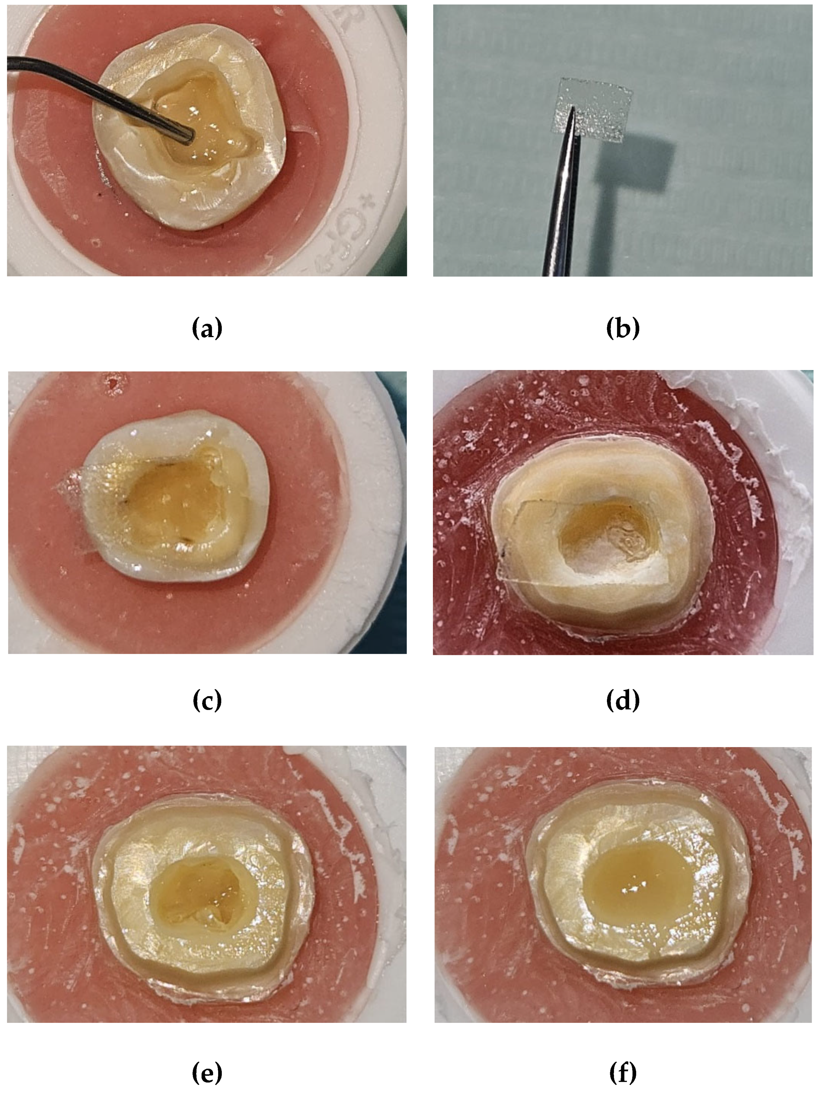 Preprints 154574 g003