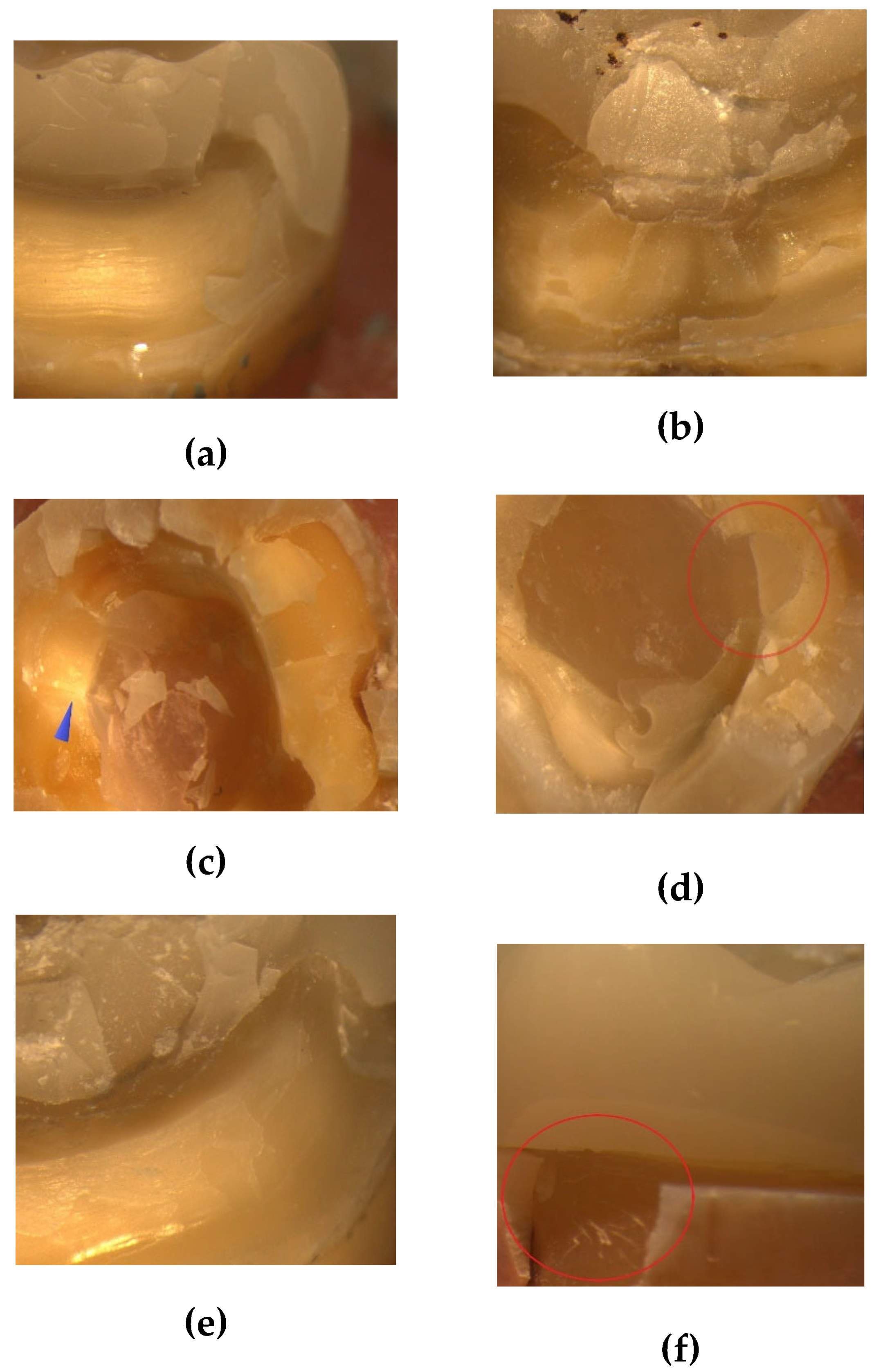 Preprints 154574 g006a