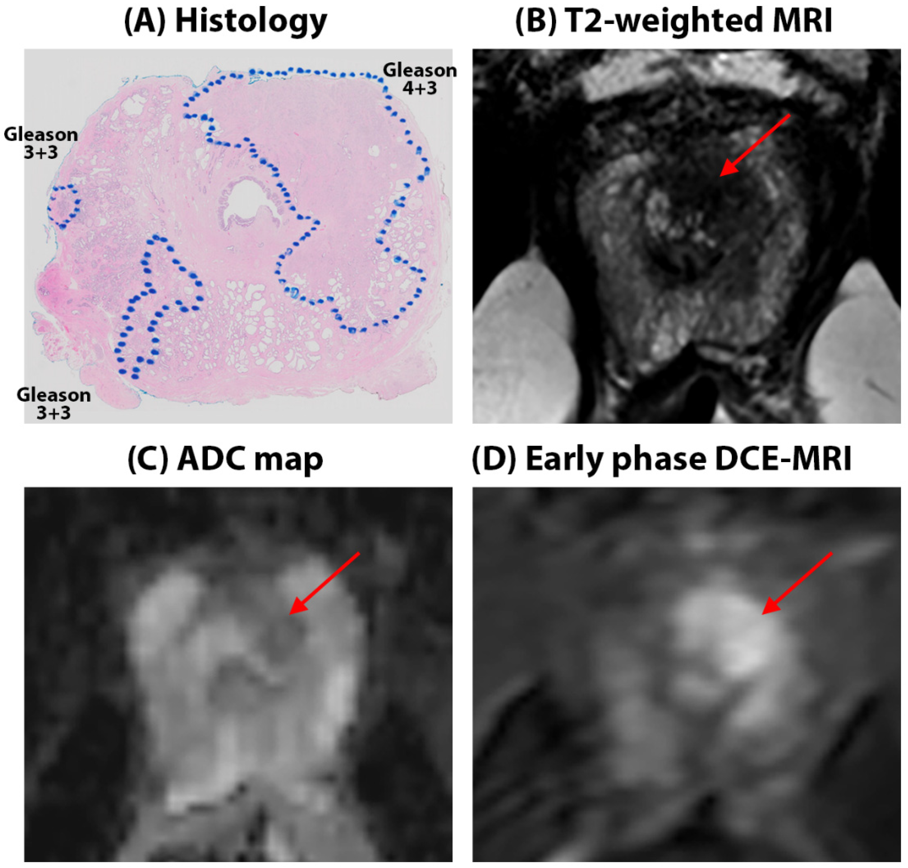 Preprints 119484 g001