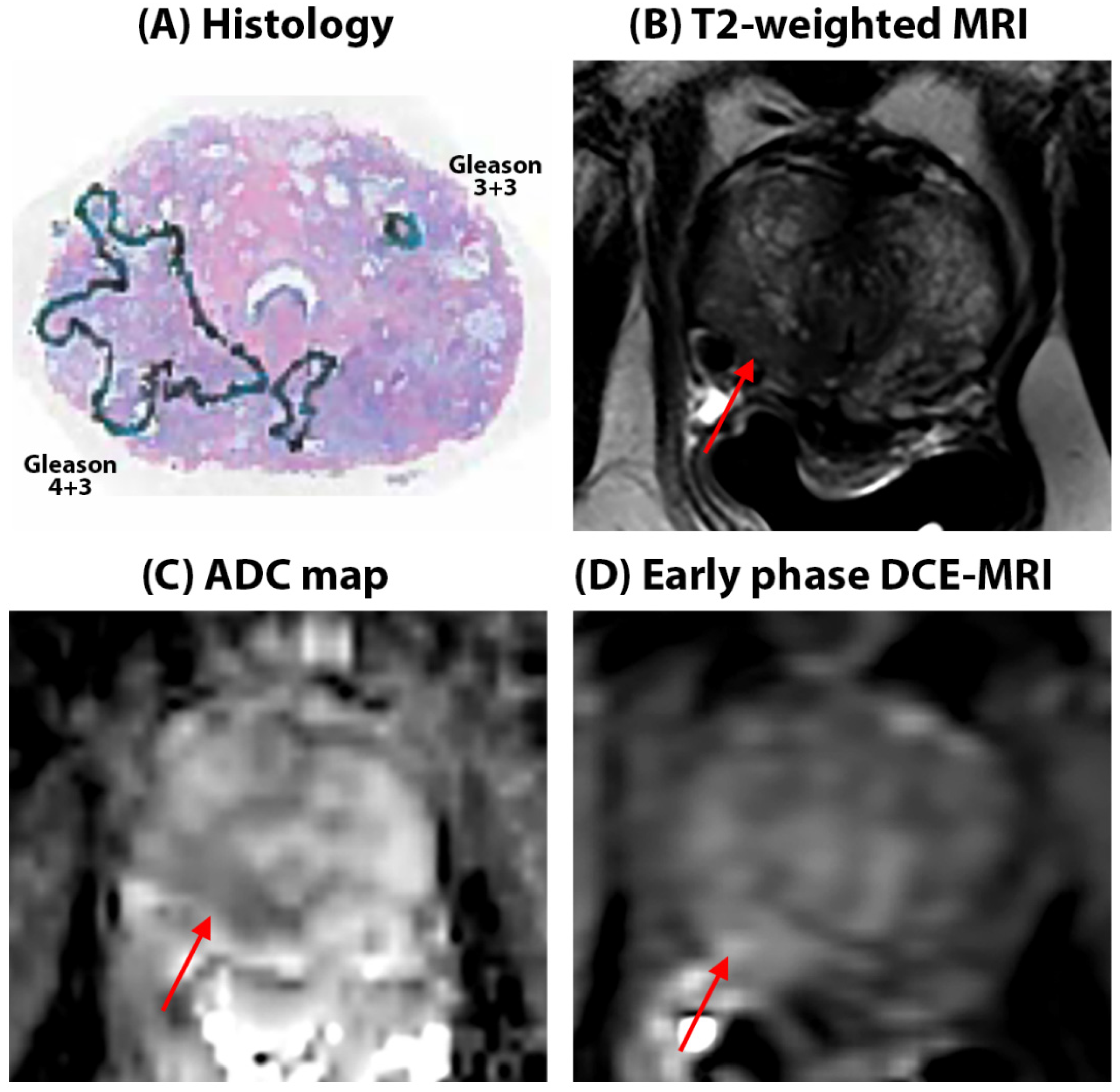Preprints 119484 g002