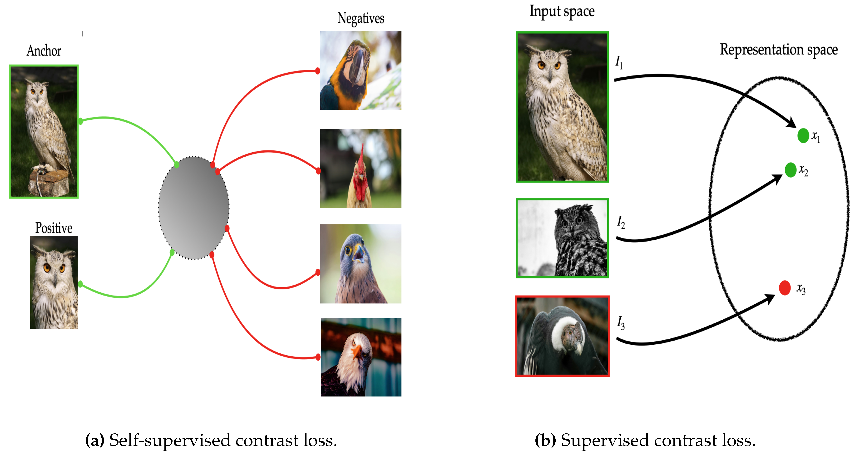 Preprints 143477 g003