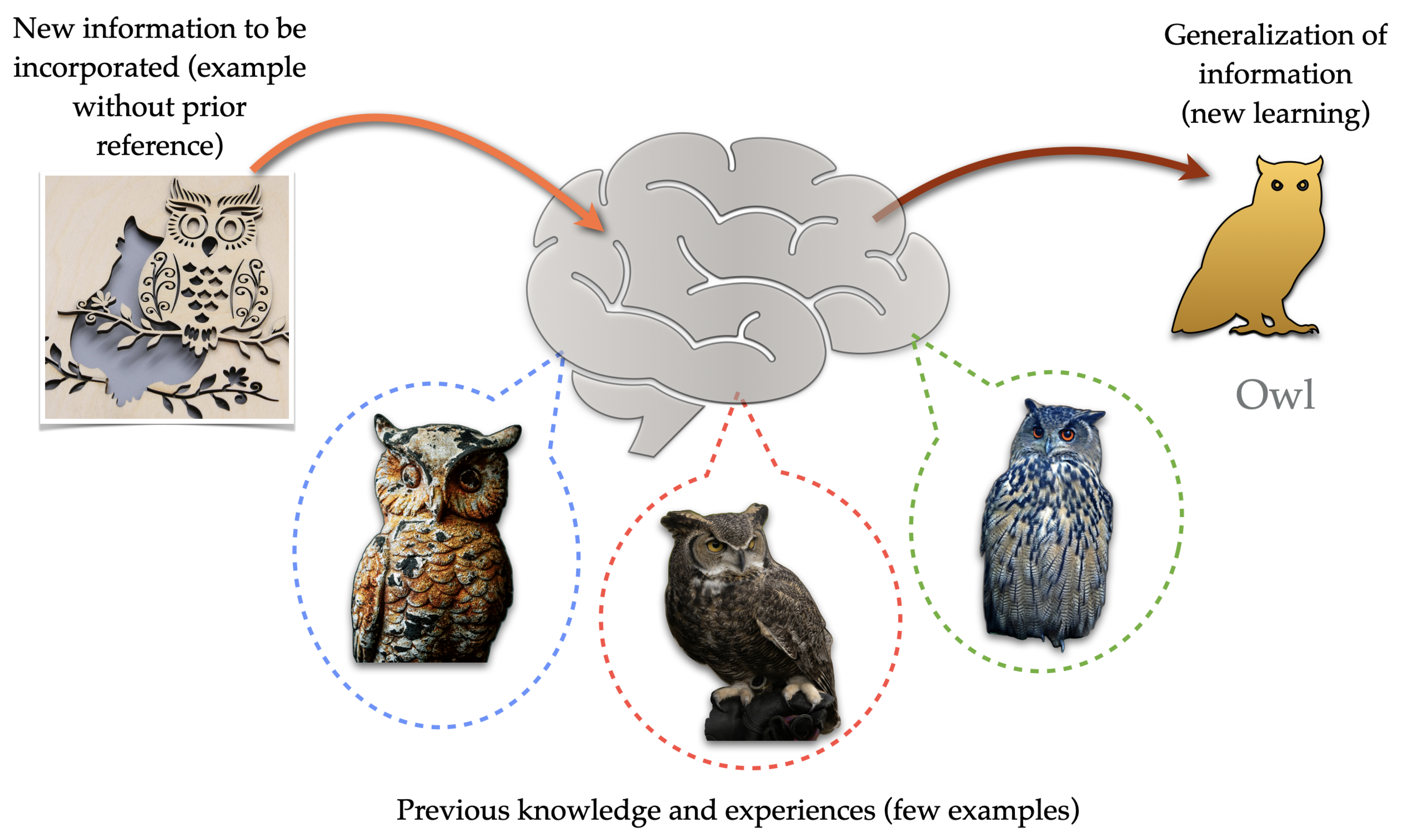 Preprints 143477 g004