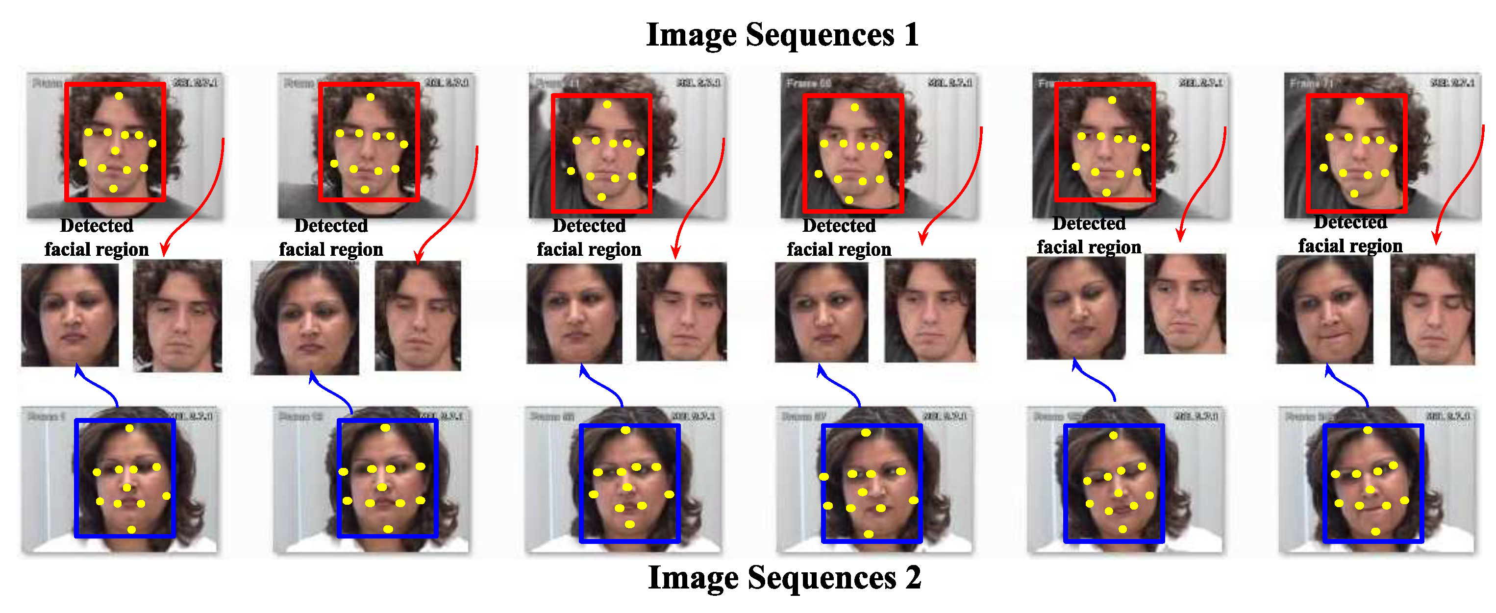 Preprints 141926 g003