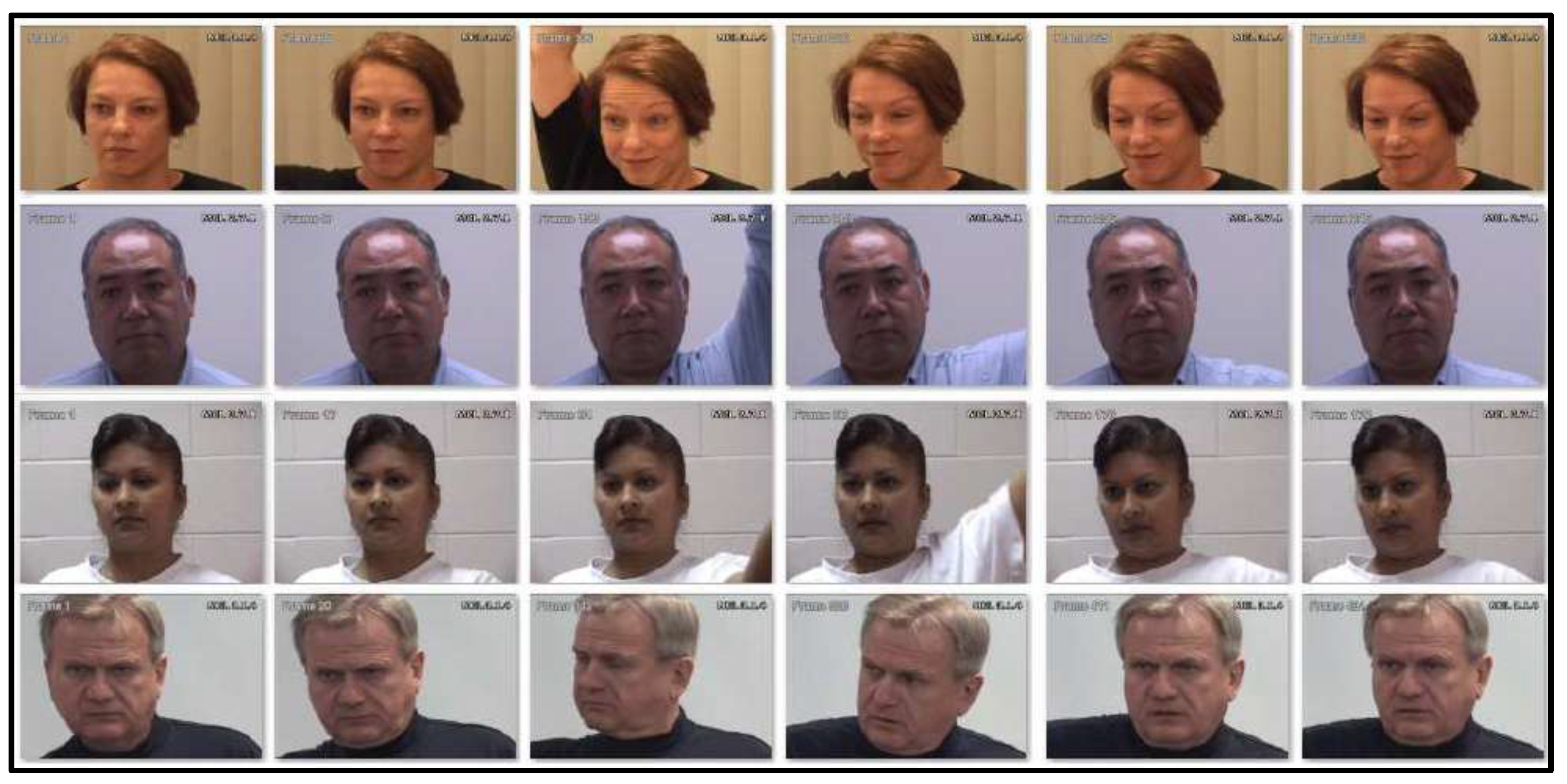 Preprints 141926 g006