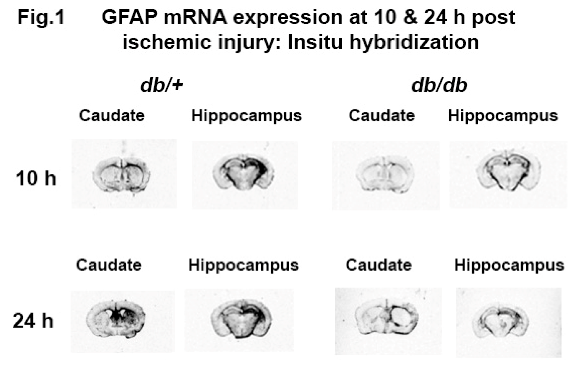 Preprints 145614 g001