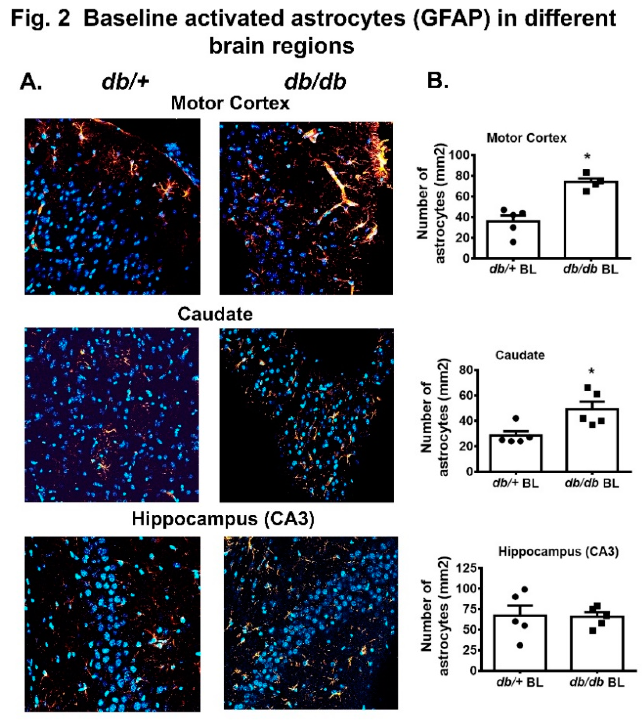 Preprints 145614 g002