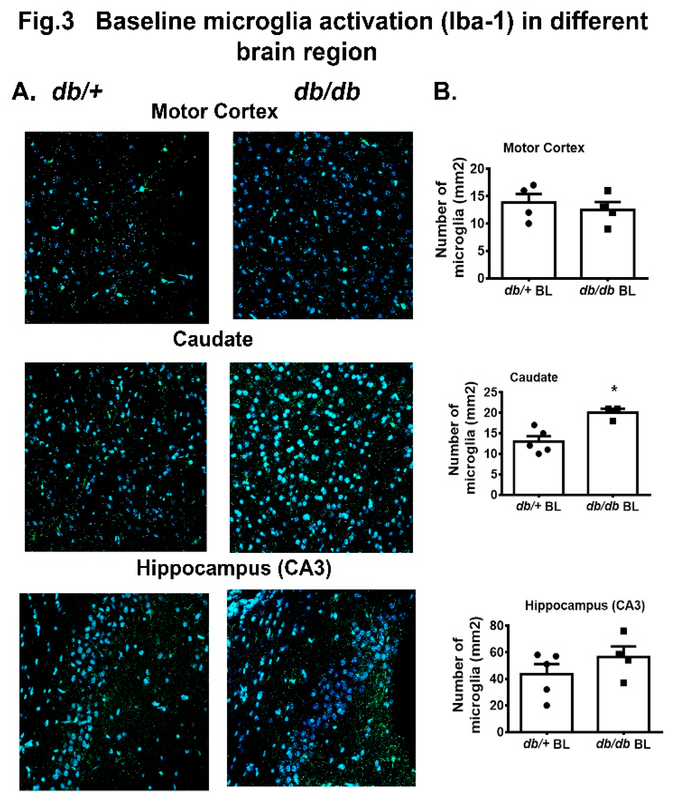 Preprints 145614 g003