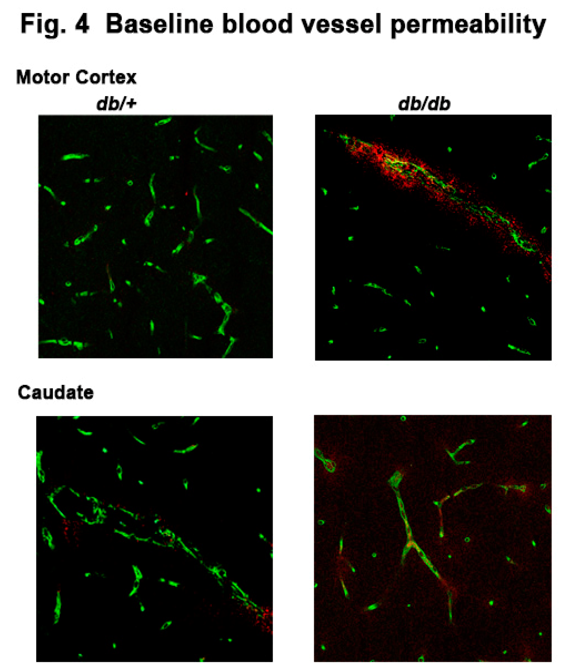 Preprints 145614 g004