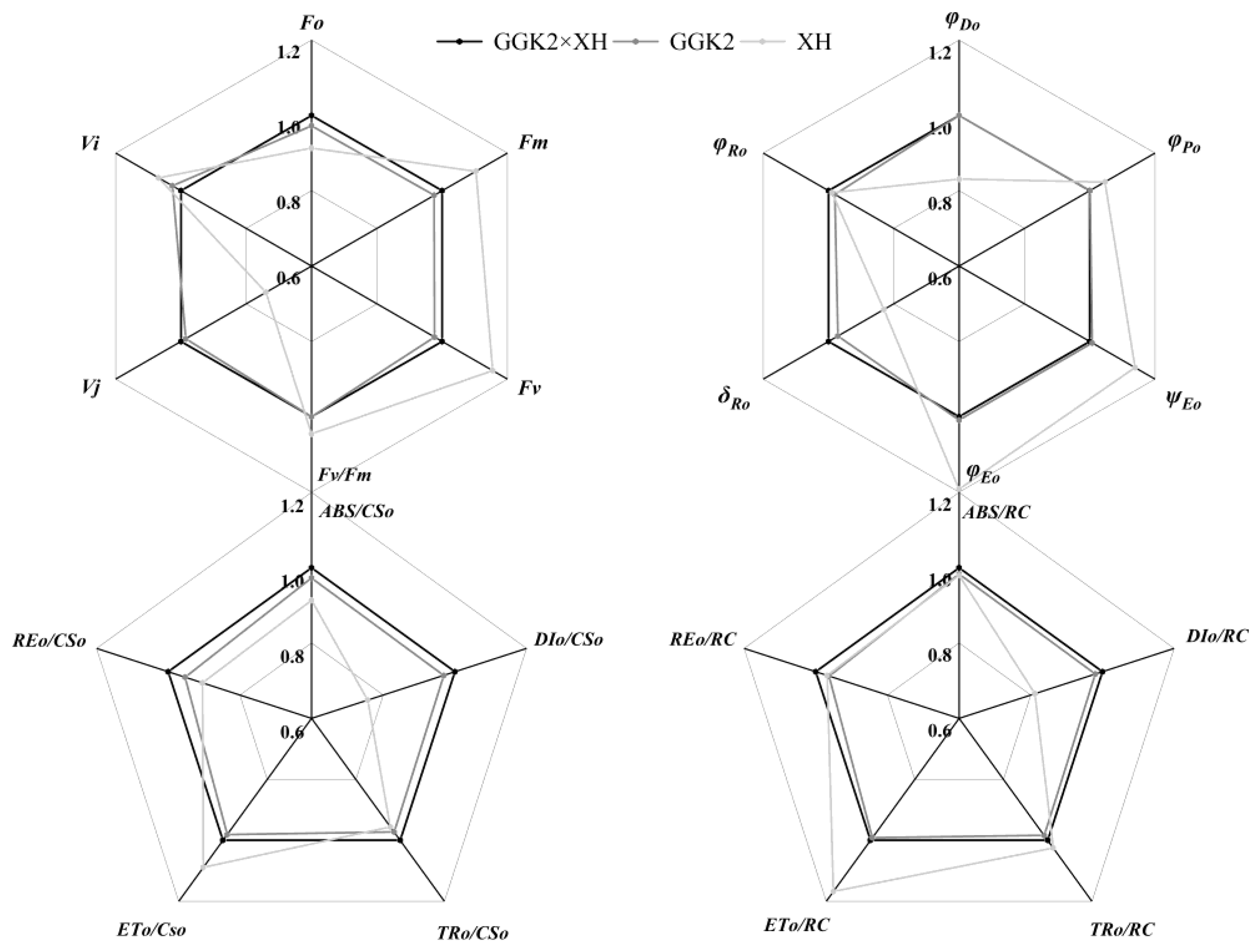 Preprints 187249 g003