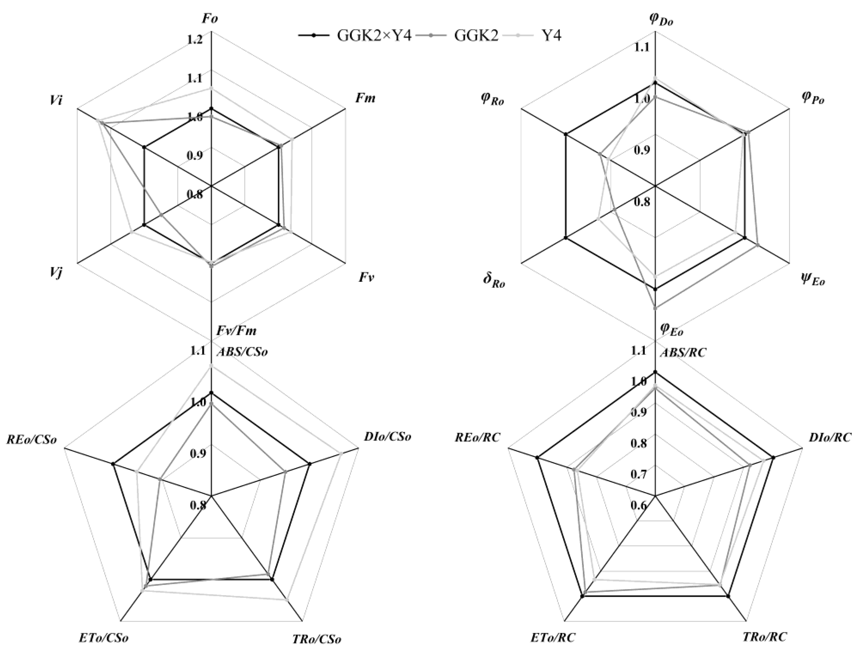 Preprints 187249 g004