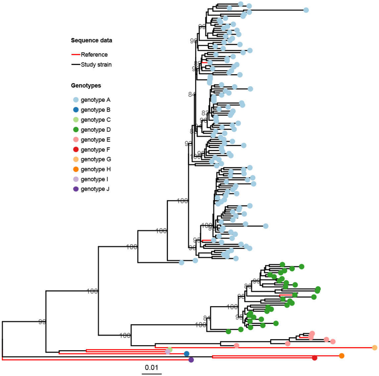 Preprints 237046 g001