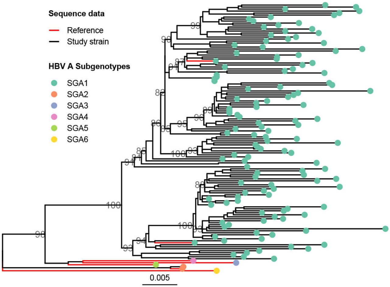 Preprints 237046 g002