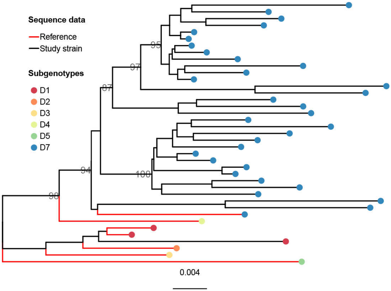 Preprints 237046 g003