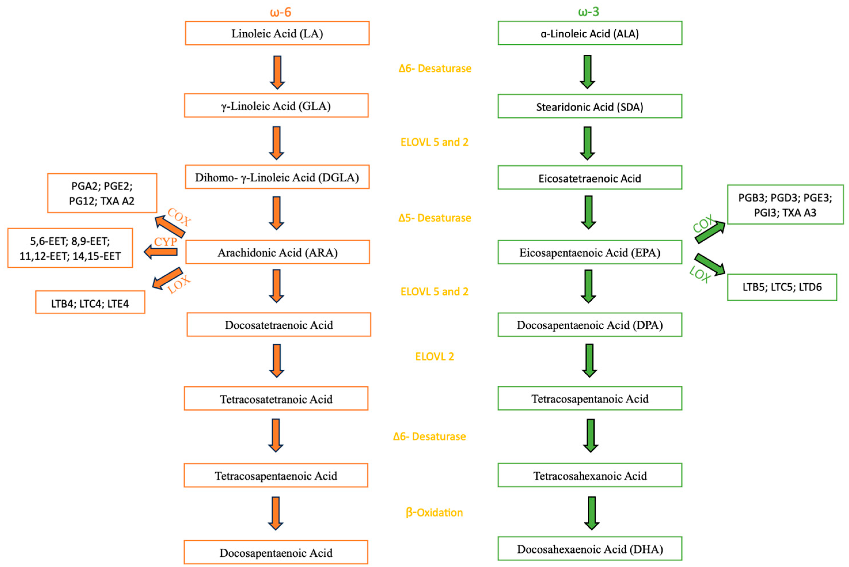 Preprints 171555 g001