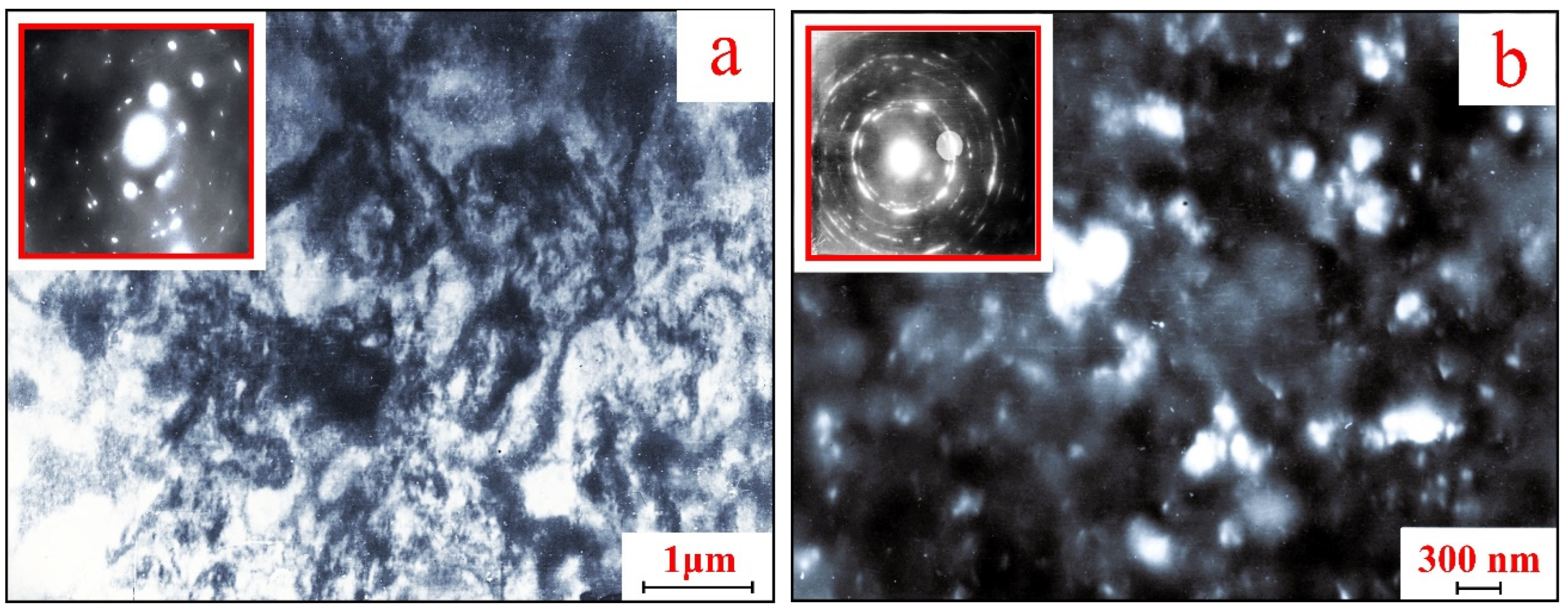 Preprints 197271 g002