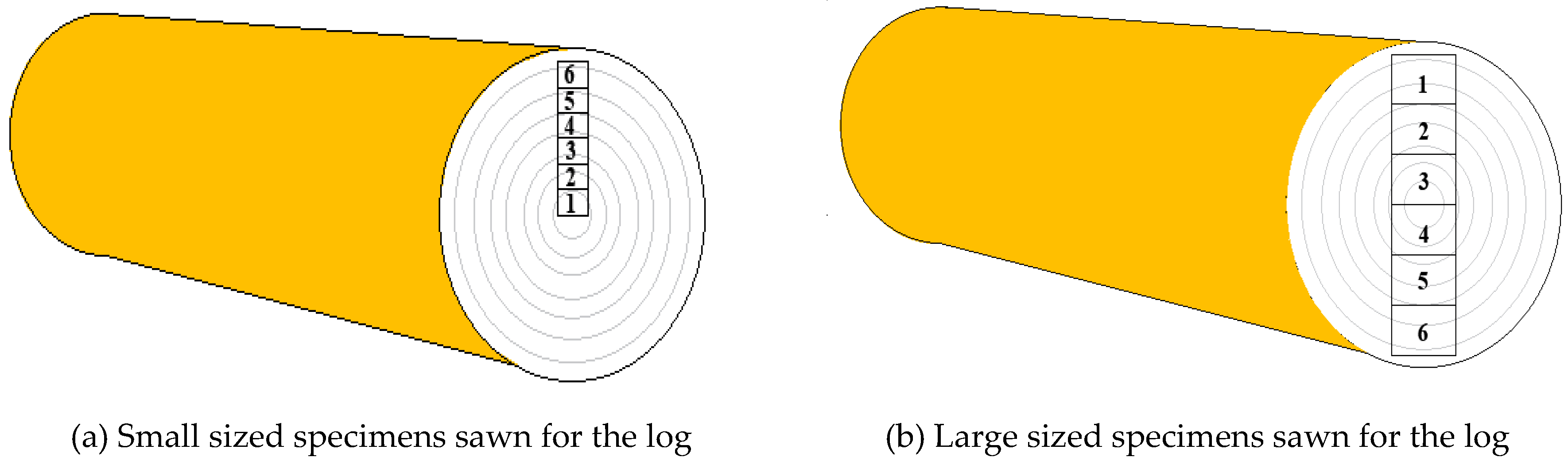 Preprints 100191 g001