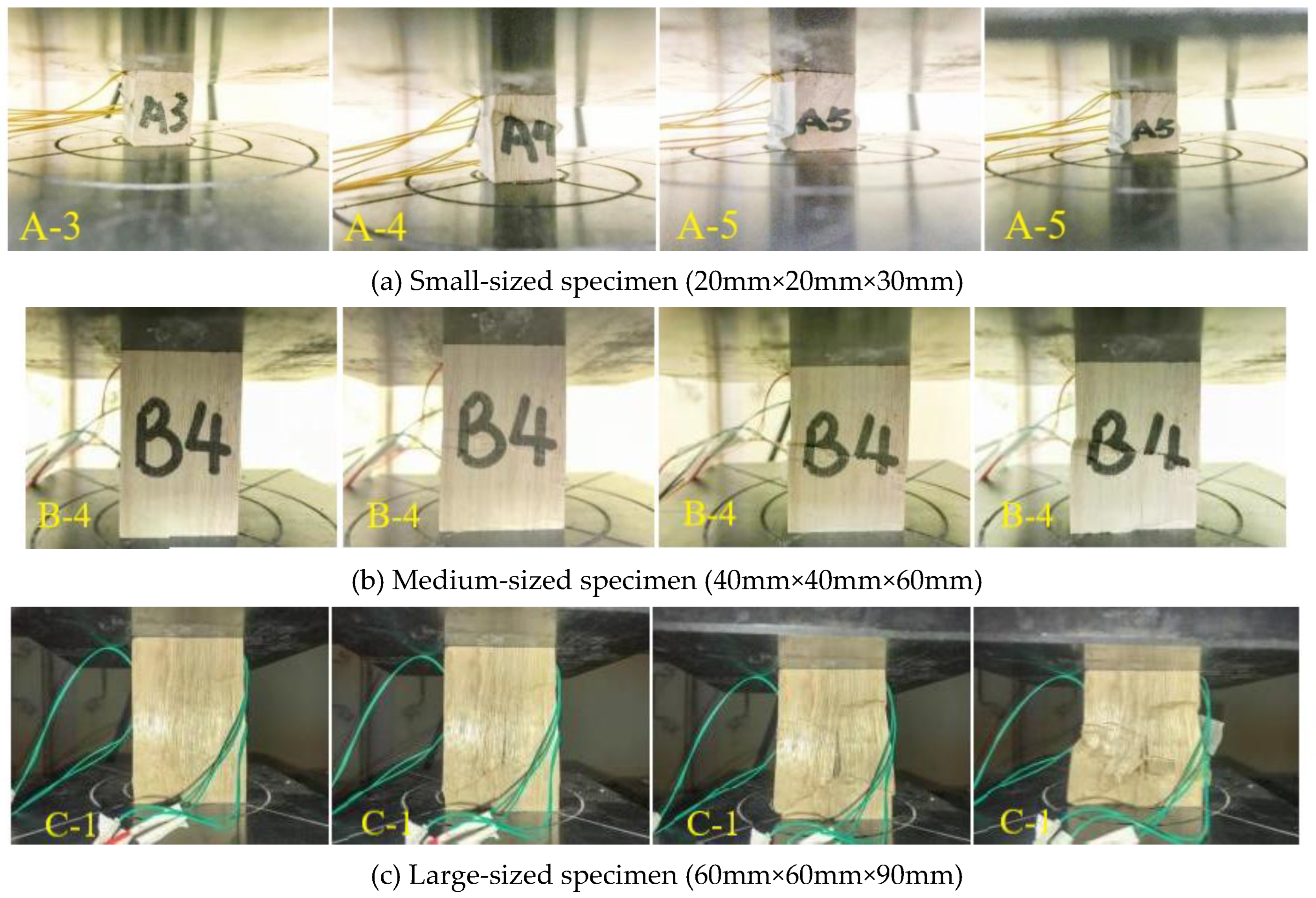 Preprints 100191 g004