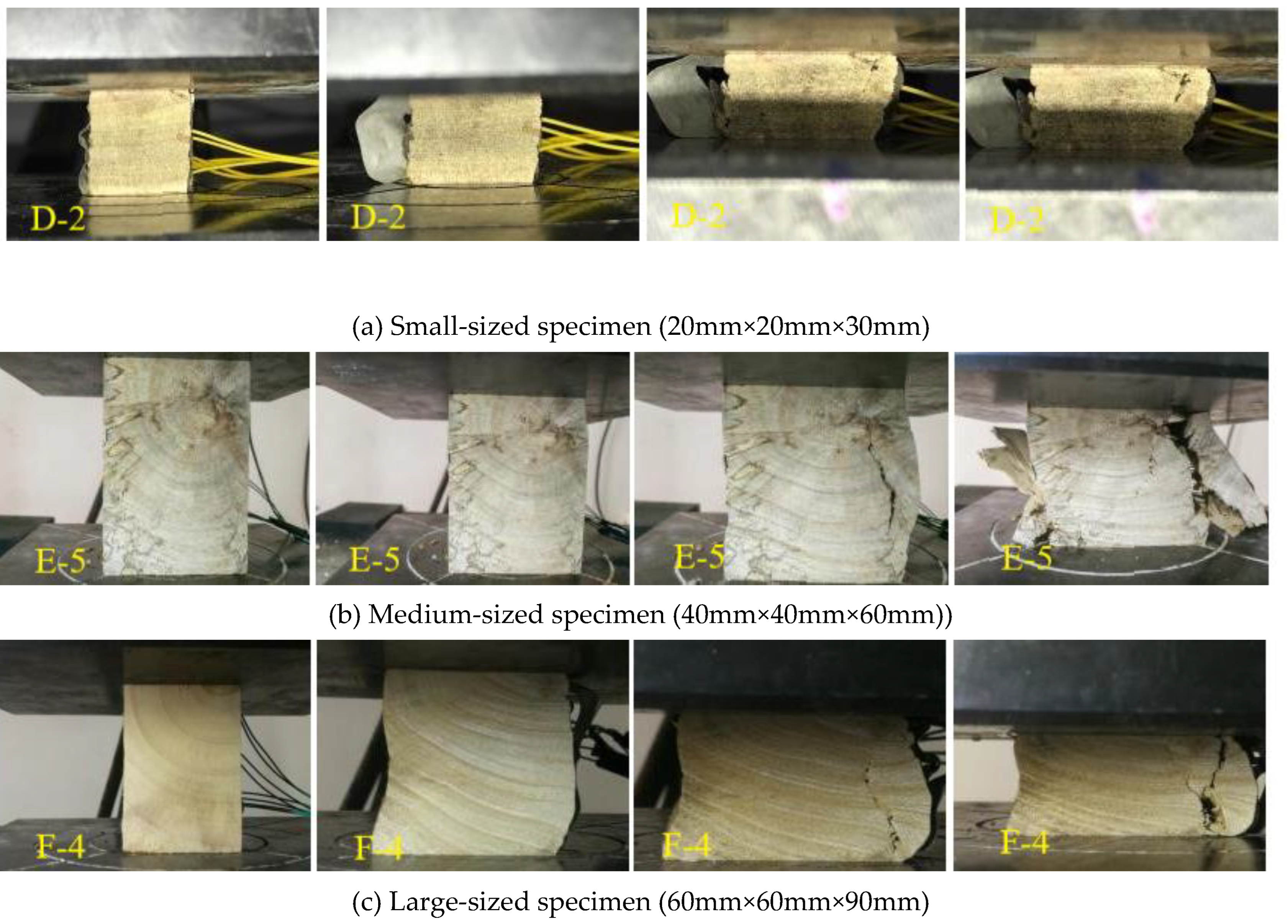 Preprints 100191 g005